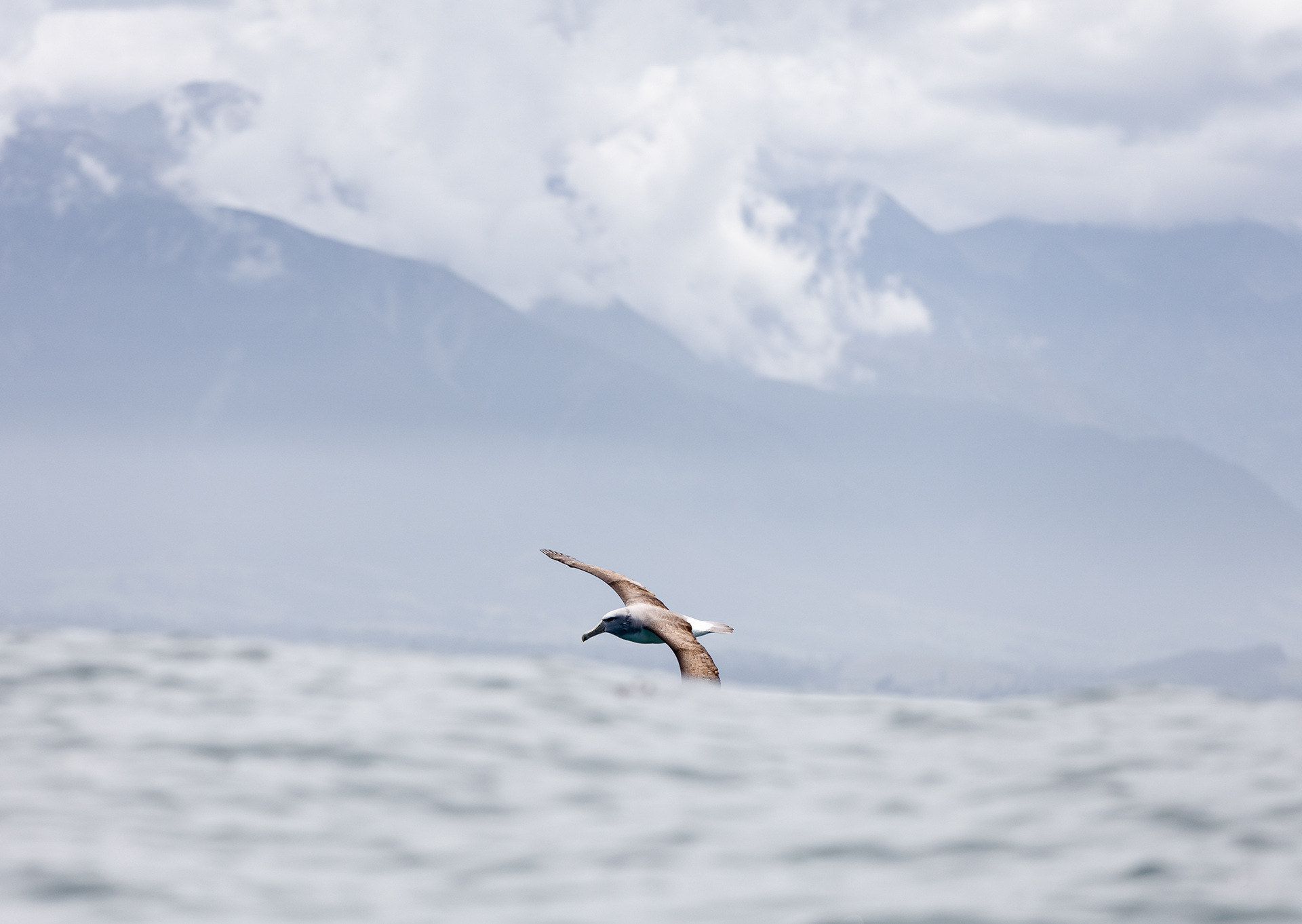 © Darren Creighton Photography | Kaikoura