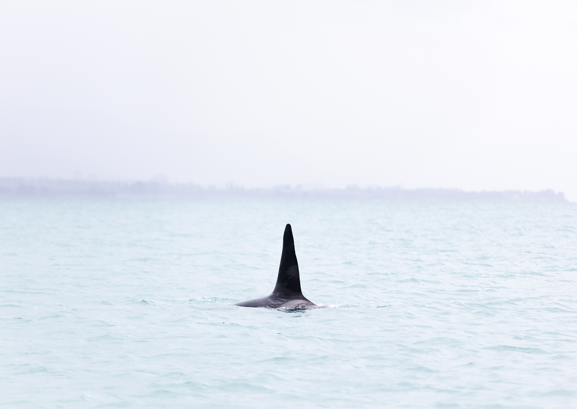 © Darren Creighton Photography | Kaikoura