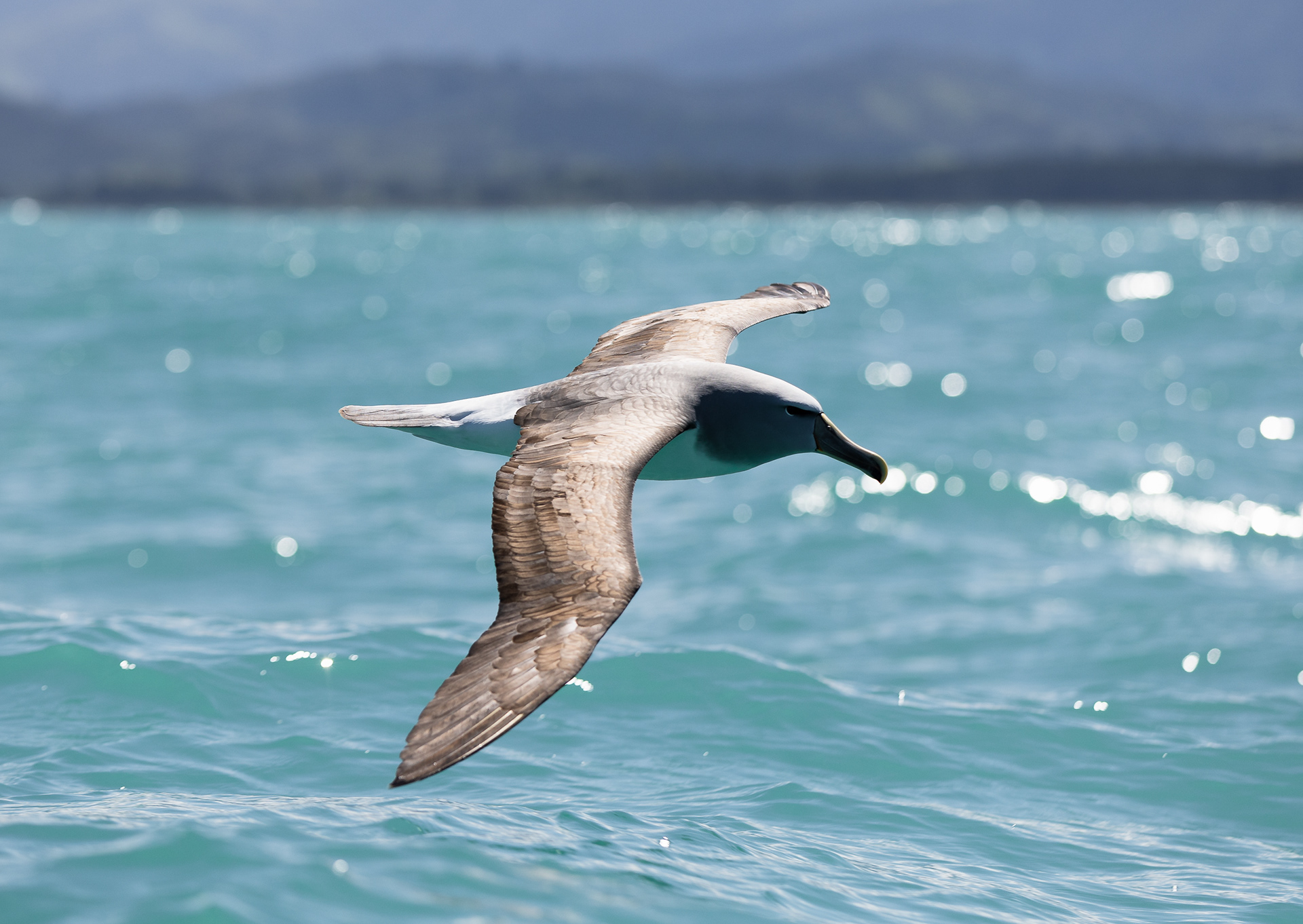 © Darren Creighton Photography | Kaikoura