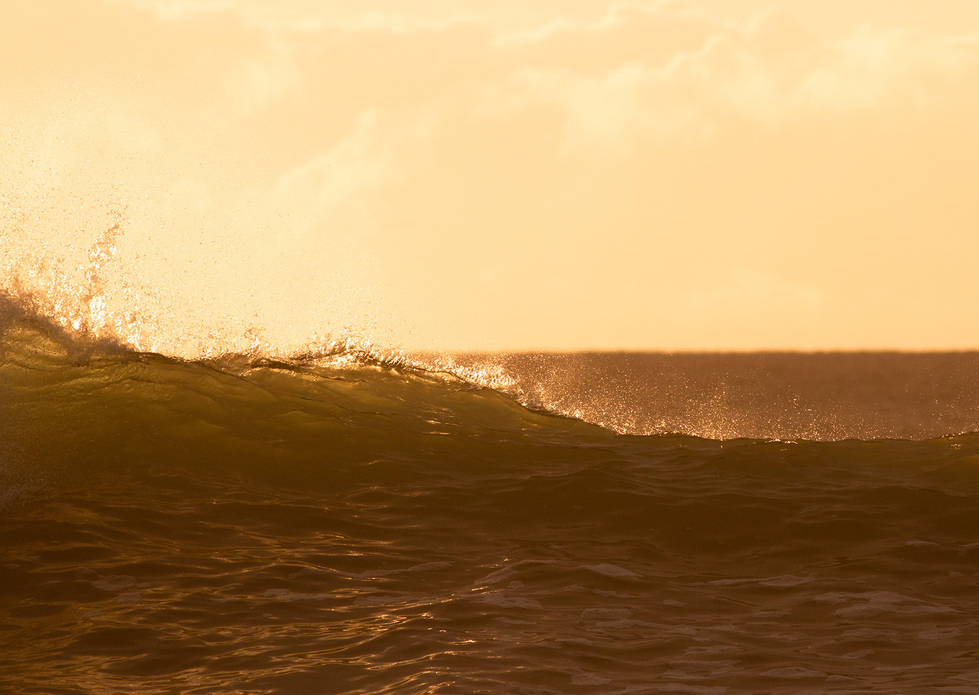 © Darren Creighton Photography | West Coast NZ
