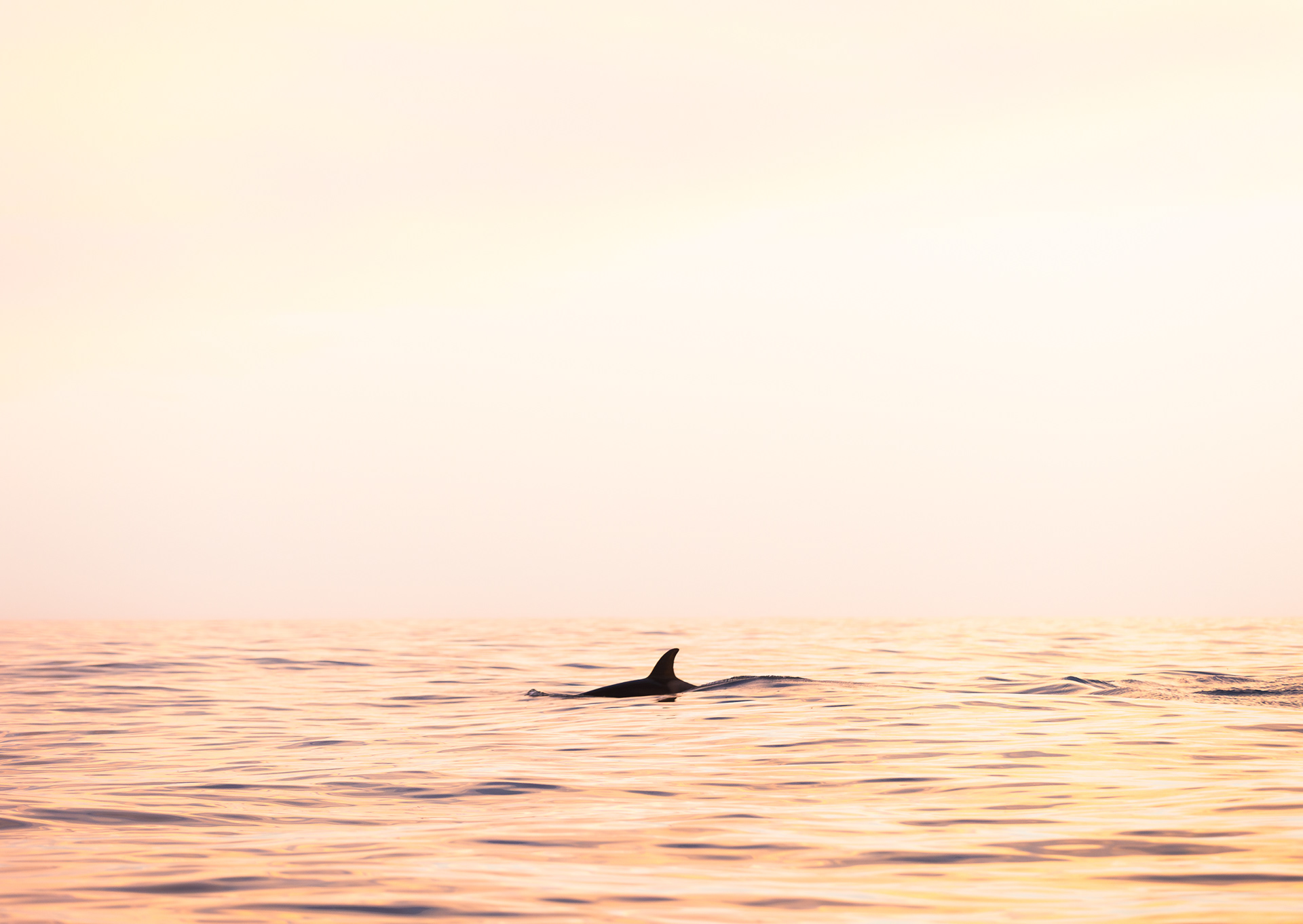 © Darren Creighton Photography | Kaikoura