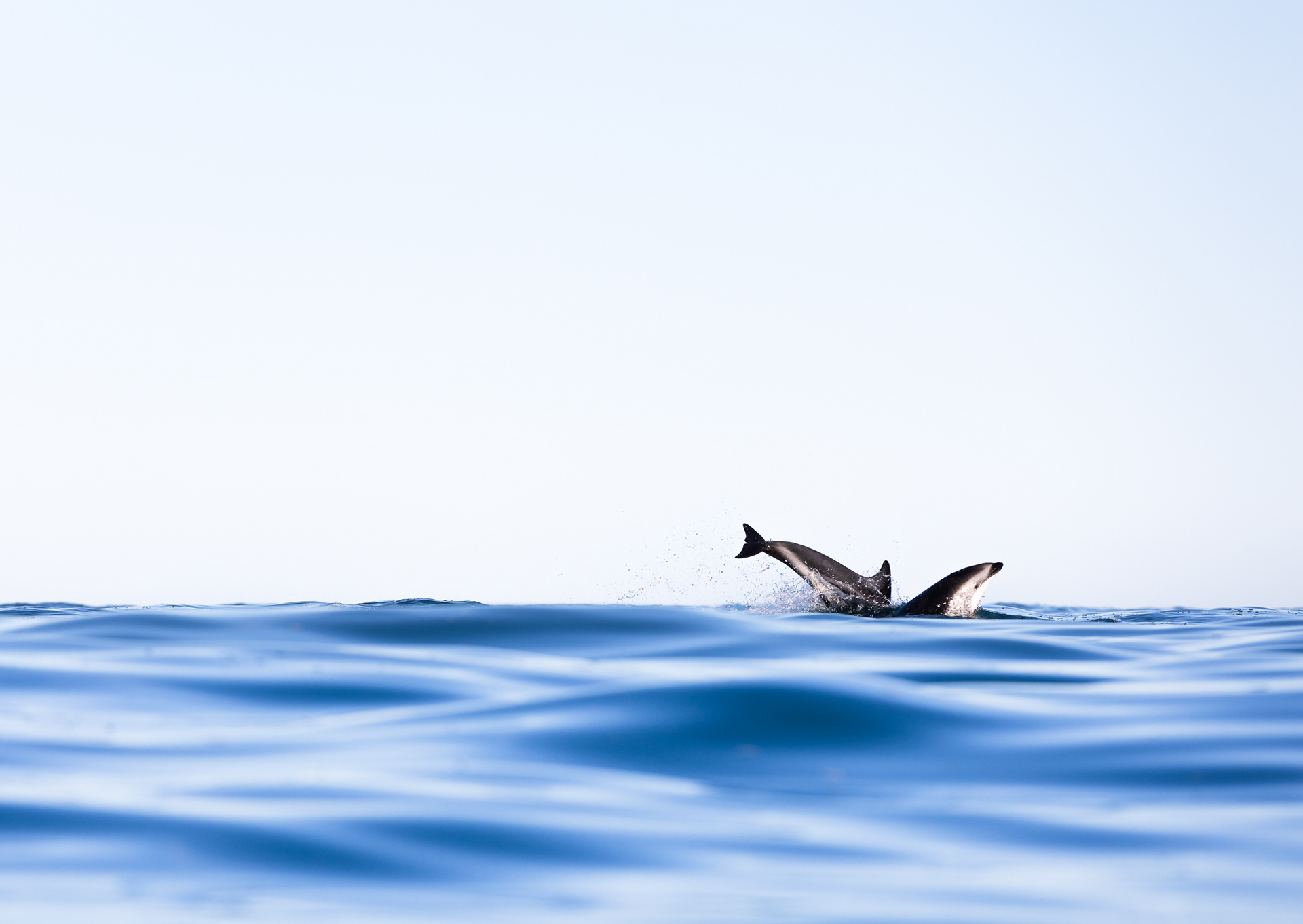 © Darren Creighton Photography | Kaikoura