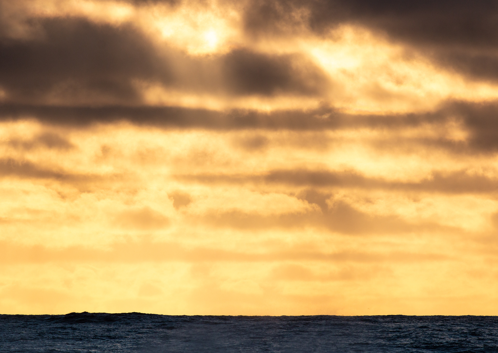 © Darren Creighton Photography | West Coast NZ