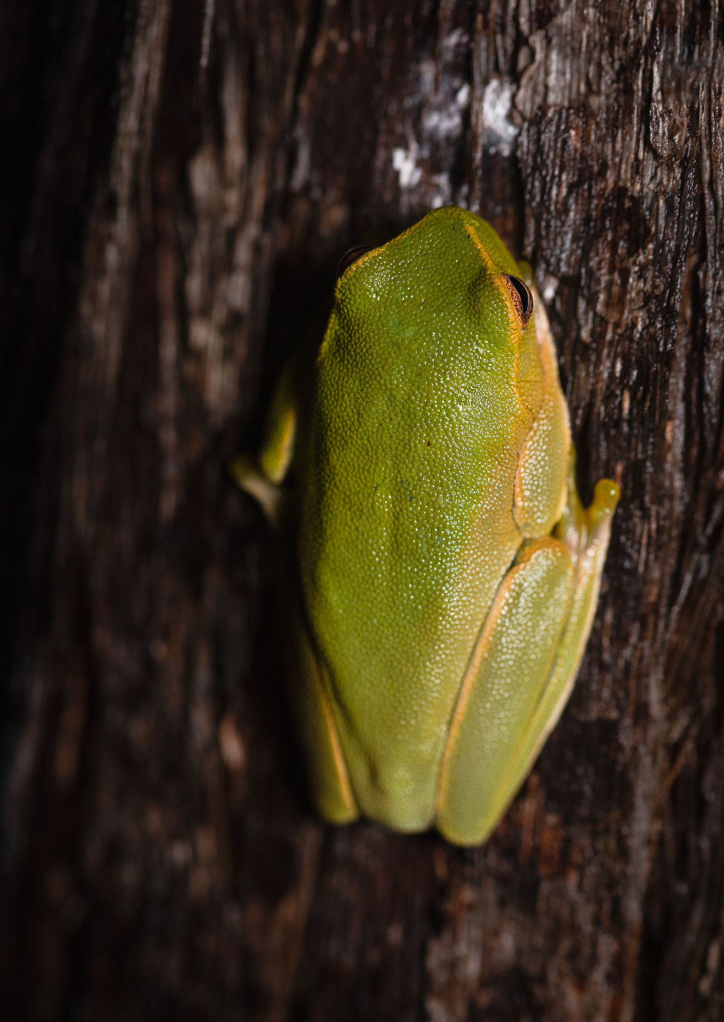 © Darren Creighton Photography | Frog Buttress