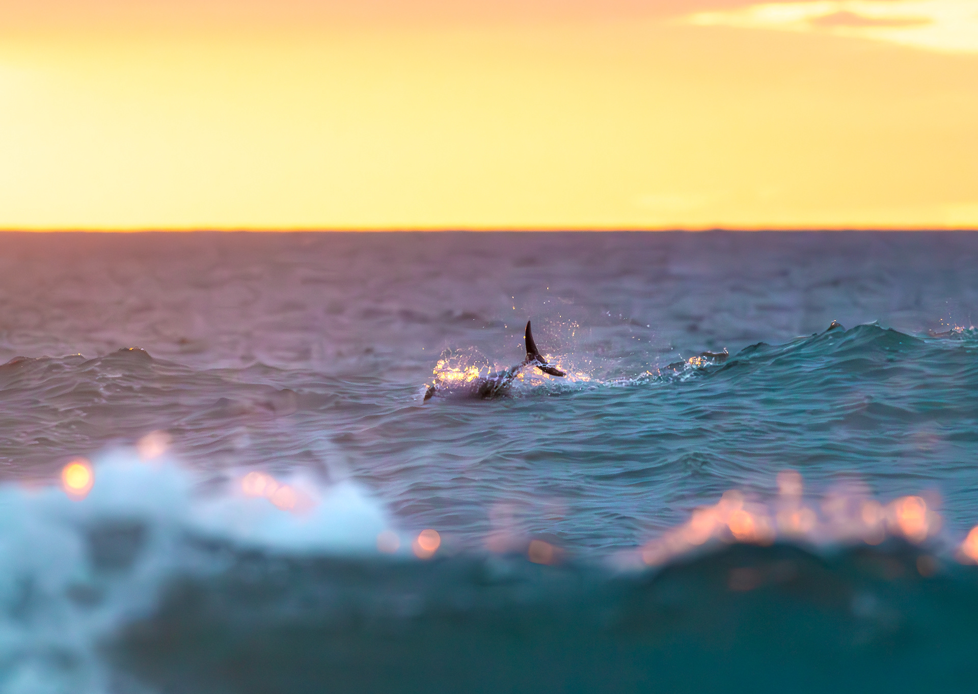 © Darren Creighton Photography | West Coast NZ