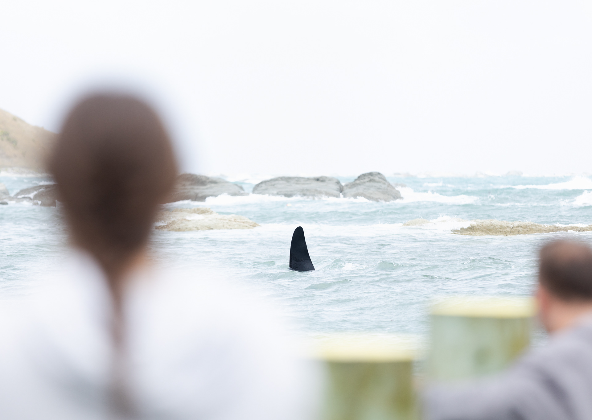 © Darren Creighton Photography | Kaikoura