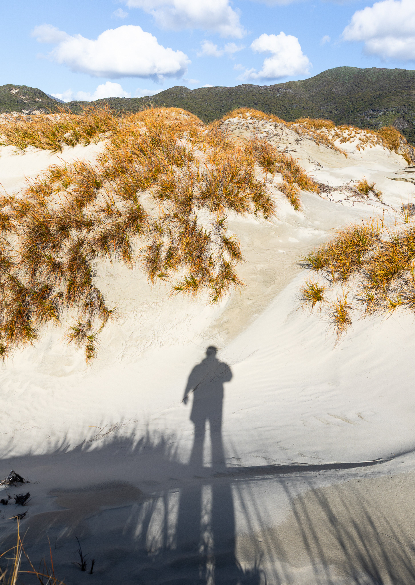 © Darren Creighton Photography  |  Rakiura  |  Stewart Island