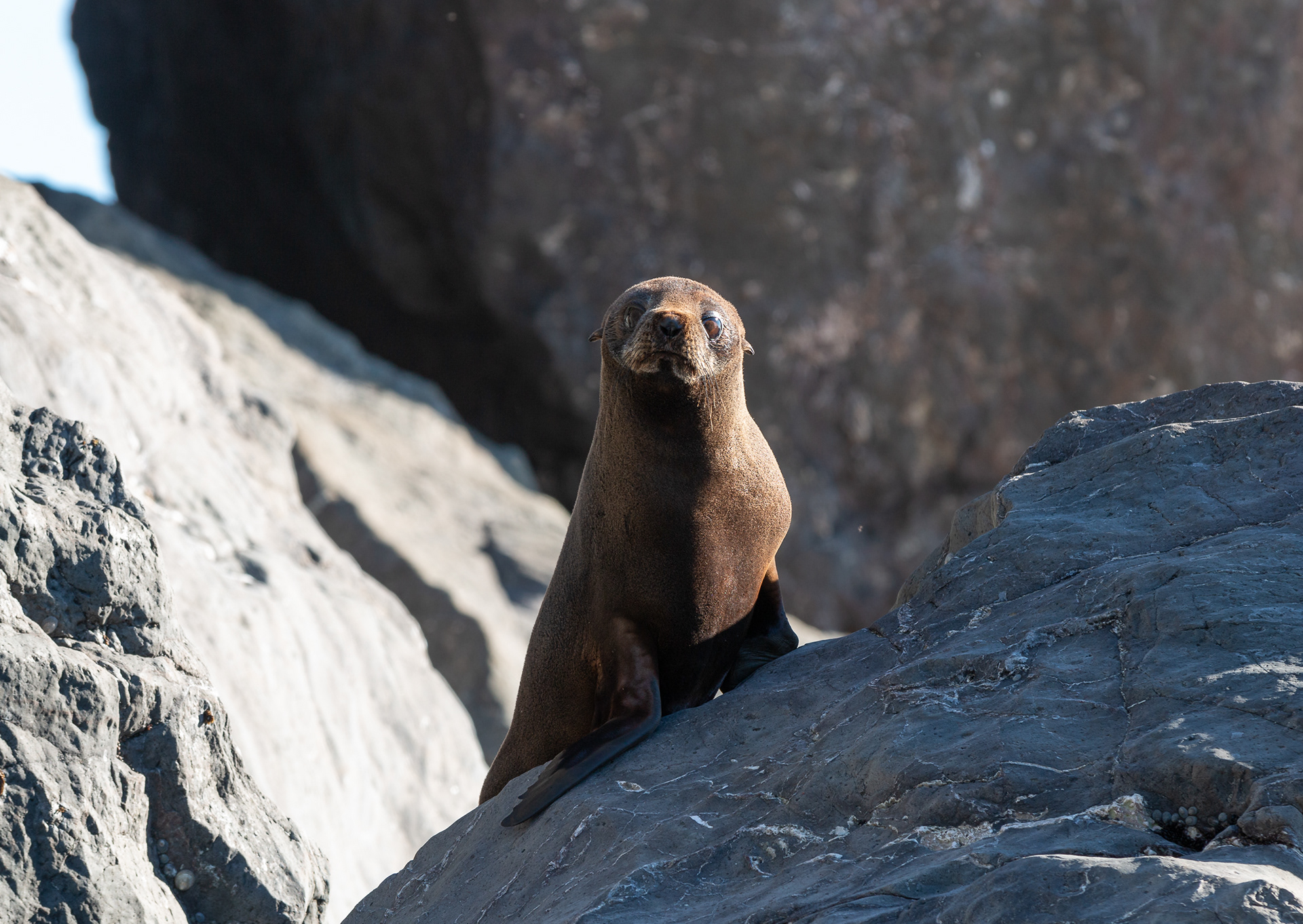 © Darren Creighton Photography  |  West Coast NZ