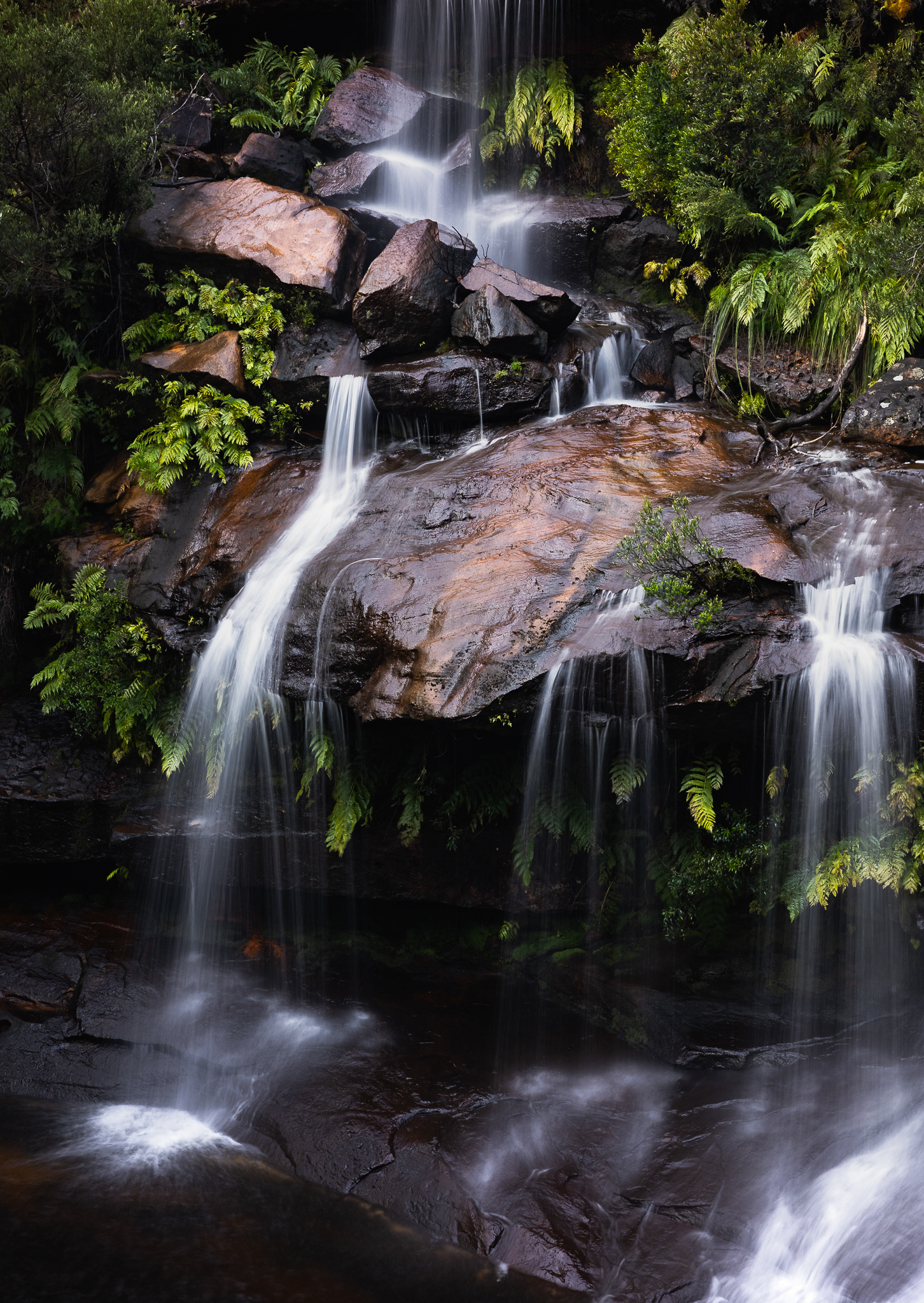 © Darren Creighton Photography  |  Maddens Falls