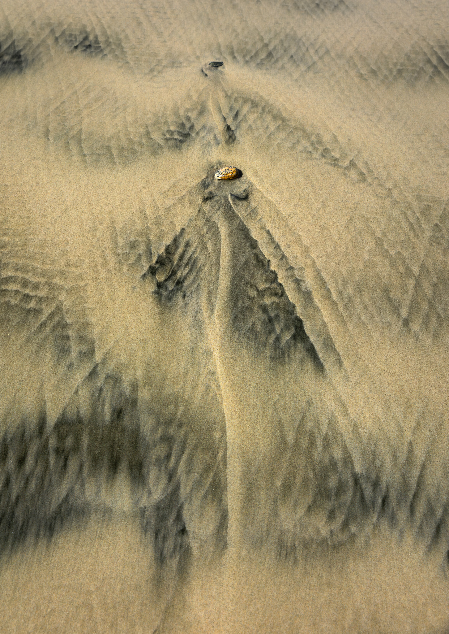 © Darren Creighton Photography  |  Rakiura  |  Stewart Island