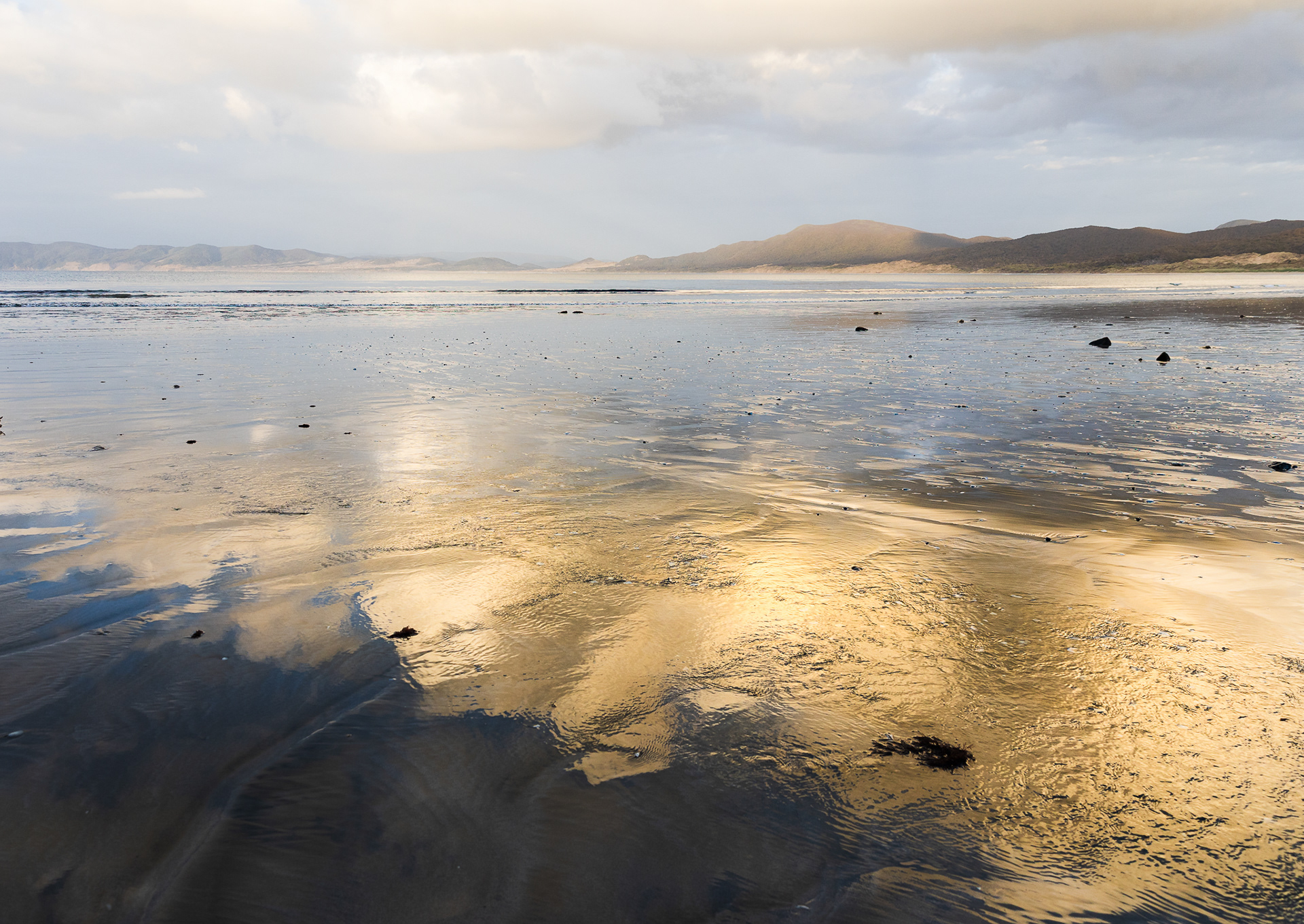 © Darren Creighton Photography  |  Rakiura  |  Stewart Island