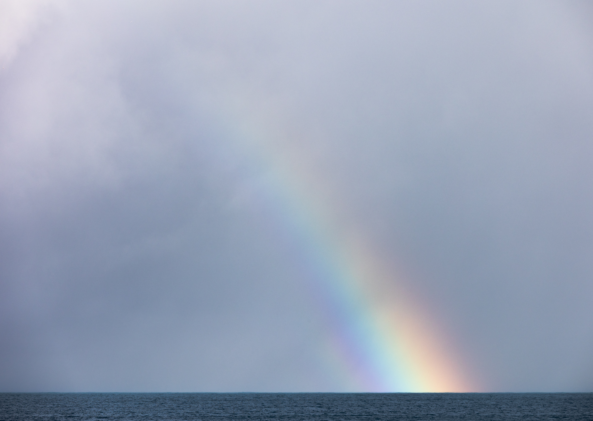 © Darren Creighton Photography | Kaikoura