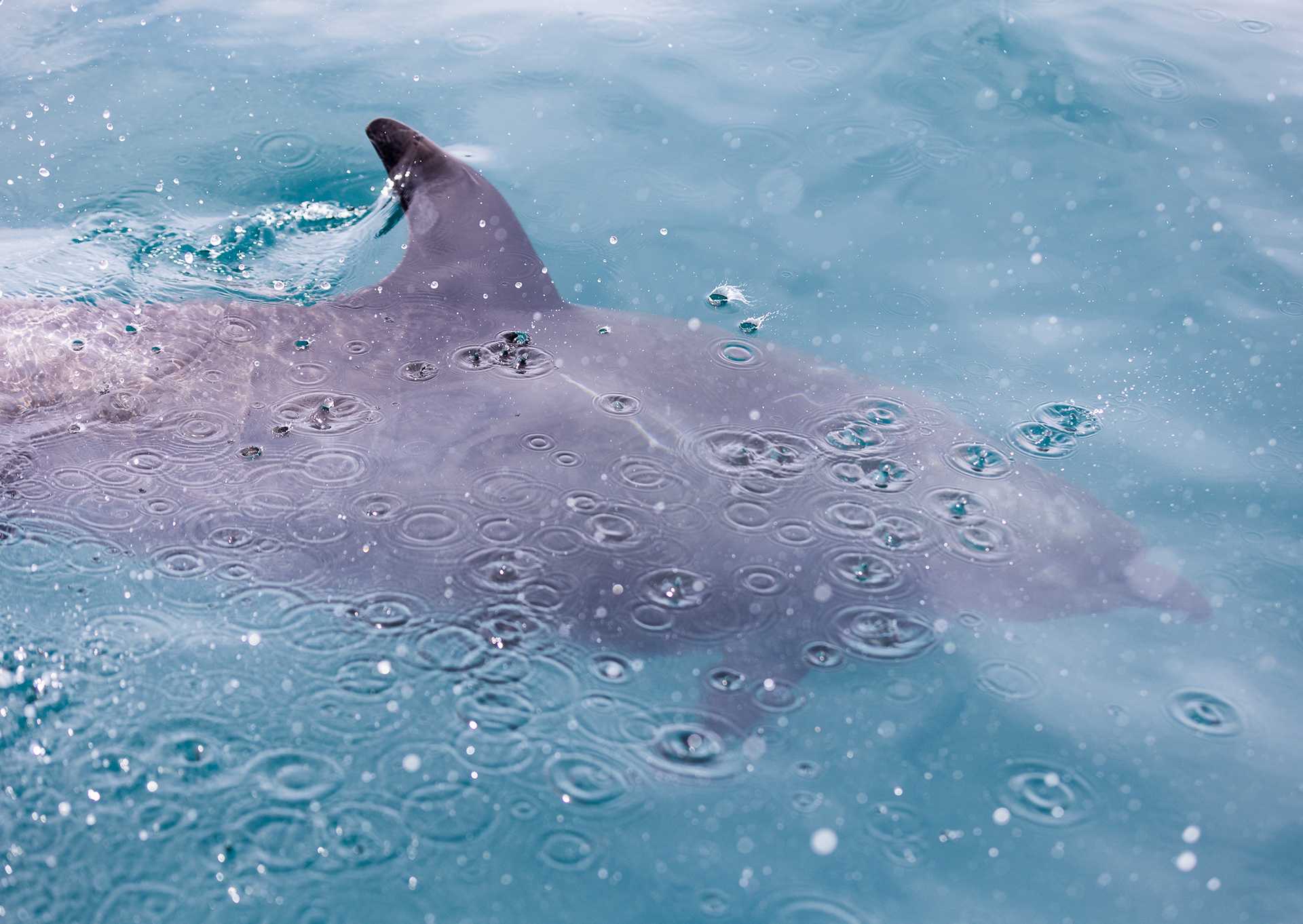 © Darren Creighton Photography | Kaikoura