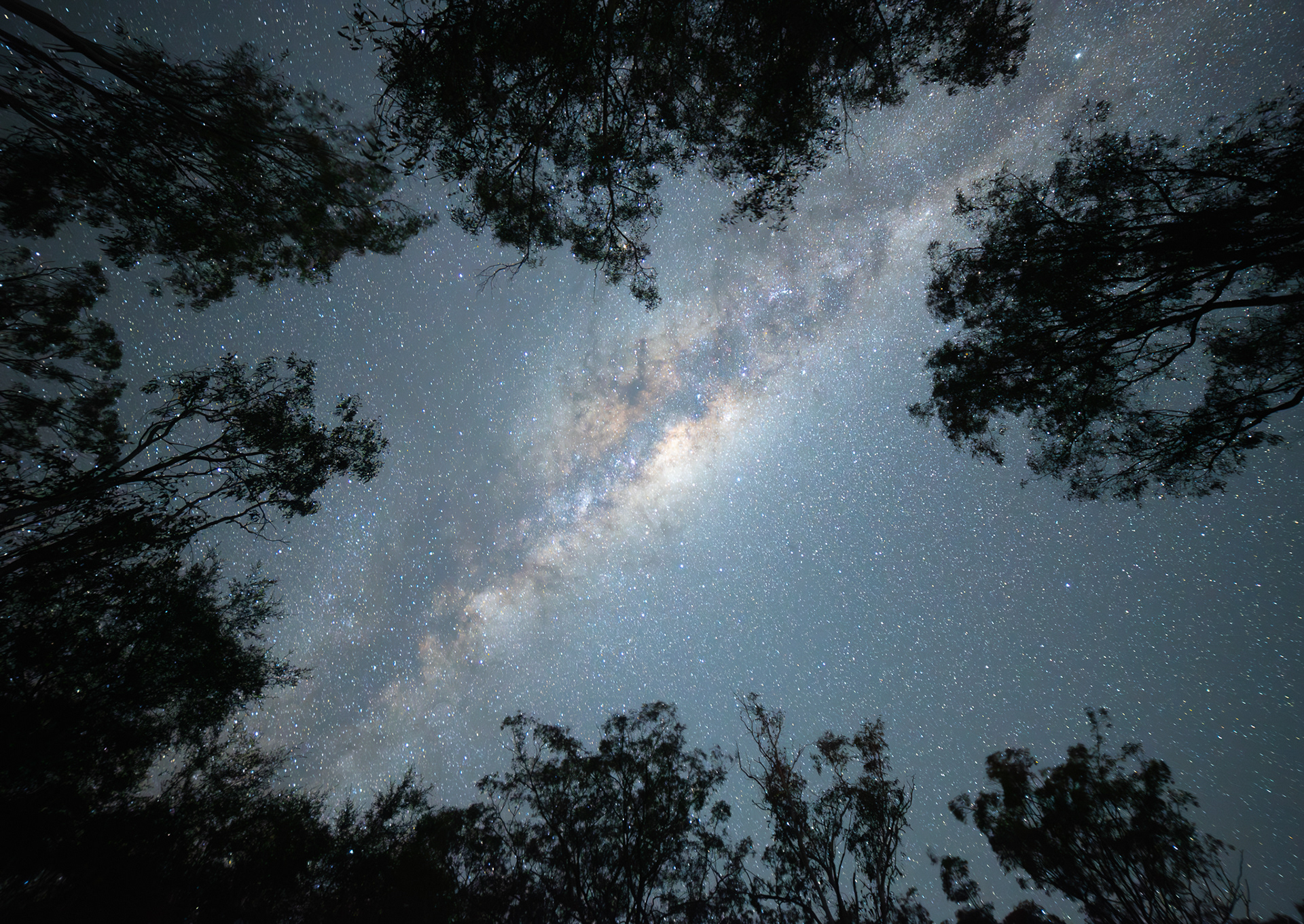 © Darren Creighton Photography | The Milky Way above Crows Nest Falls