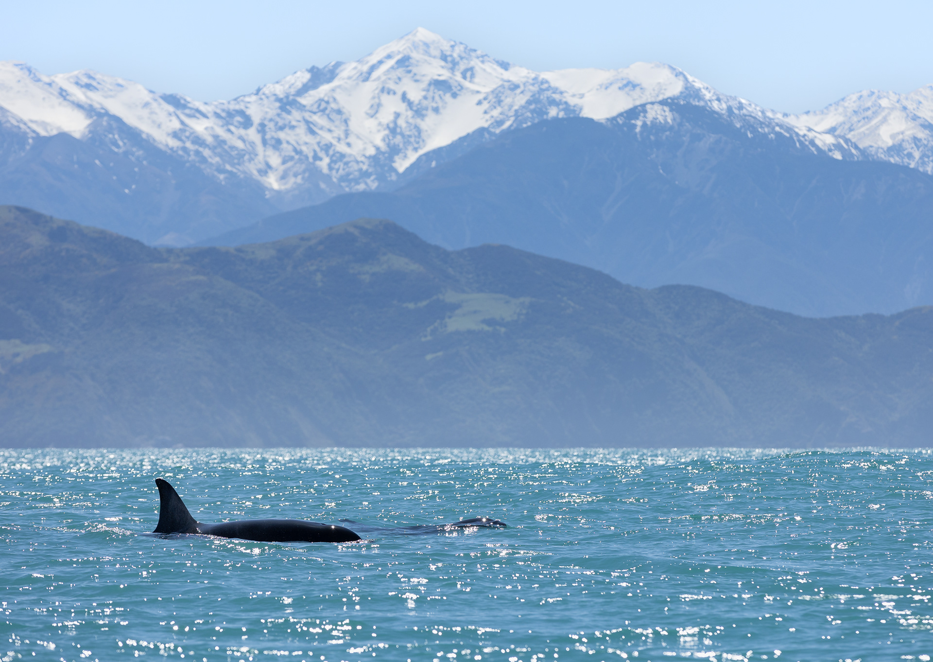 © Darren Creighton Photography | Kaikoura