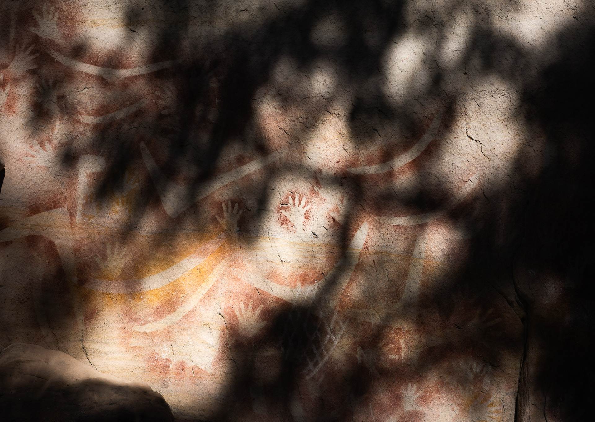 © Darren Creighton Photography  |  Carnarvon Gorge