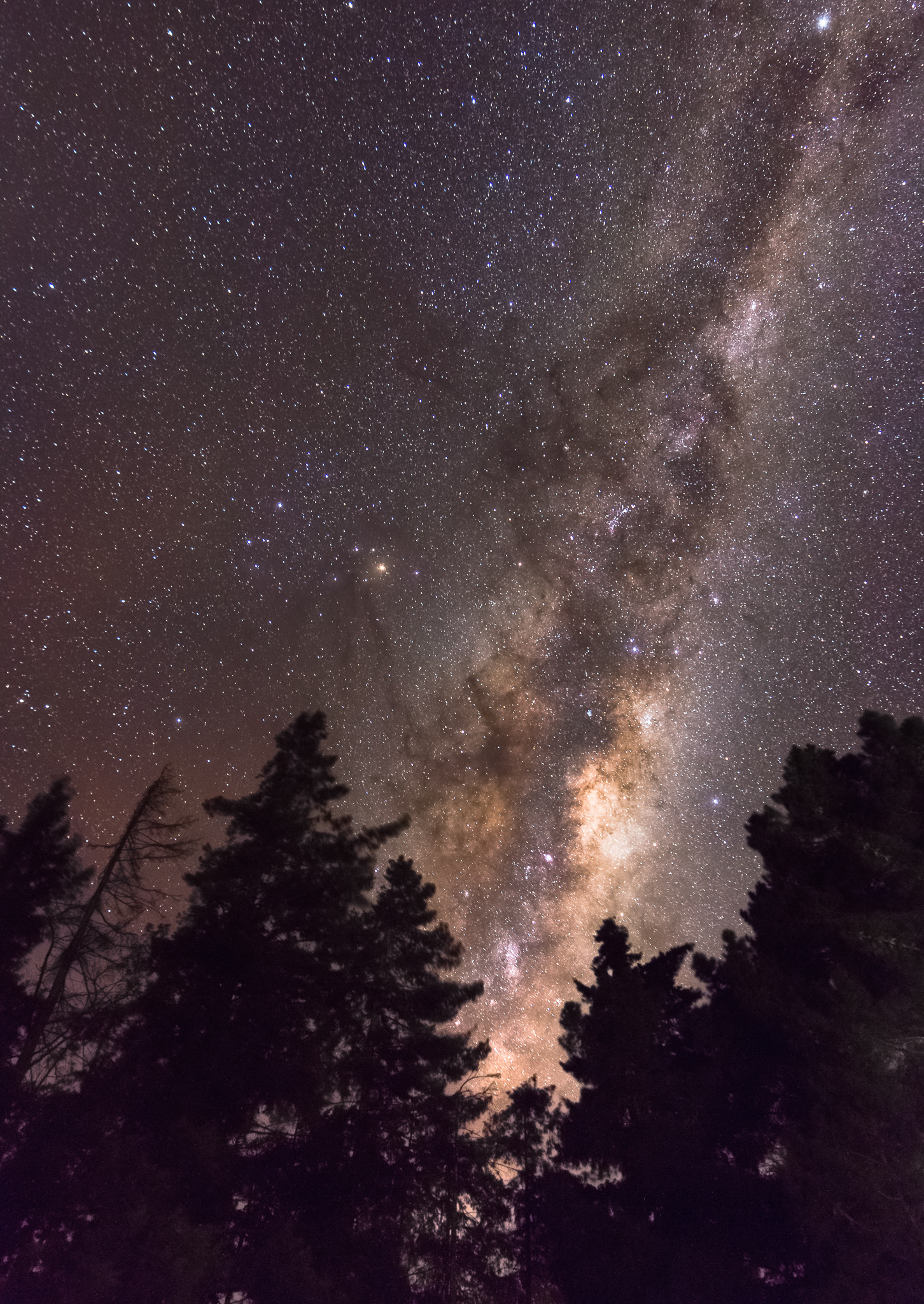 © Darren Creighton Photography  |  Greta Valley  |  The Milky Way Core
