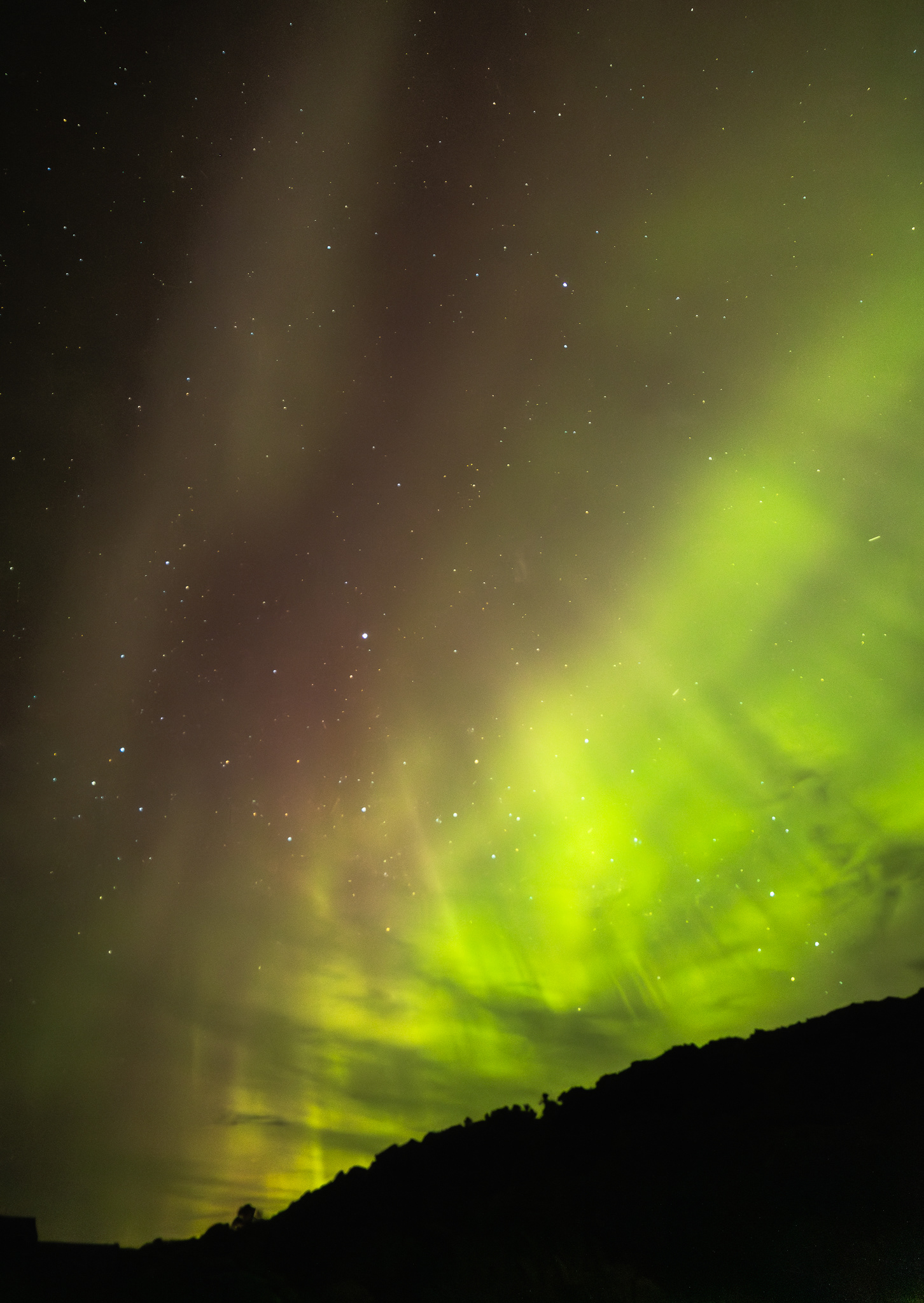 © Darren Creighton Photography  |  Rakiura | Aurora Australis