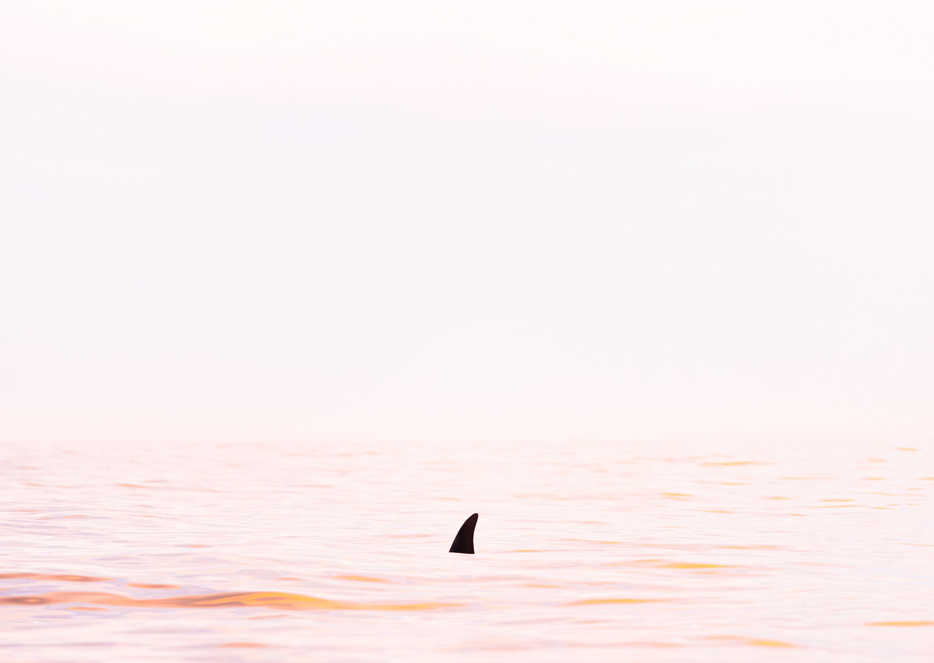 © Darren Creighton Photography | Kaikoura