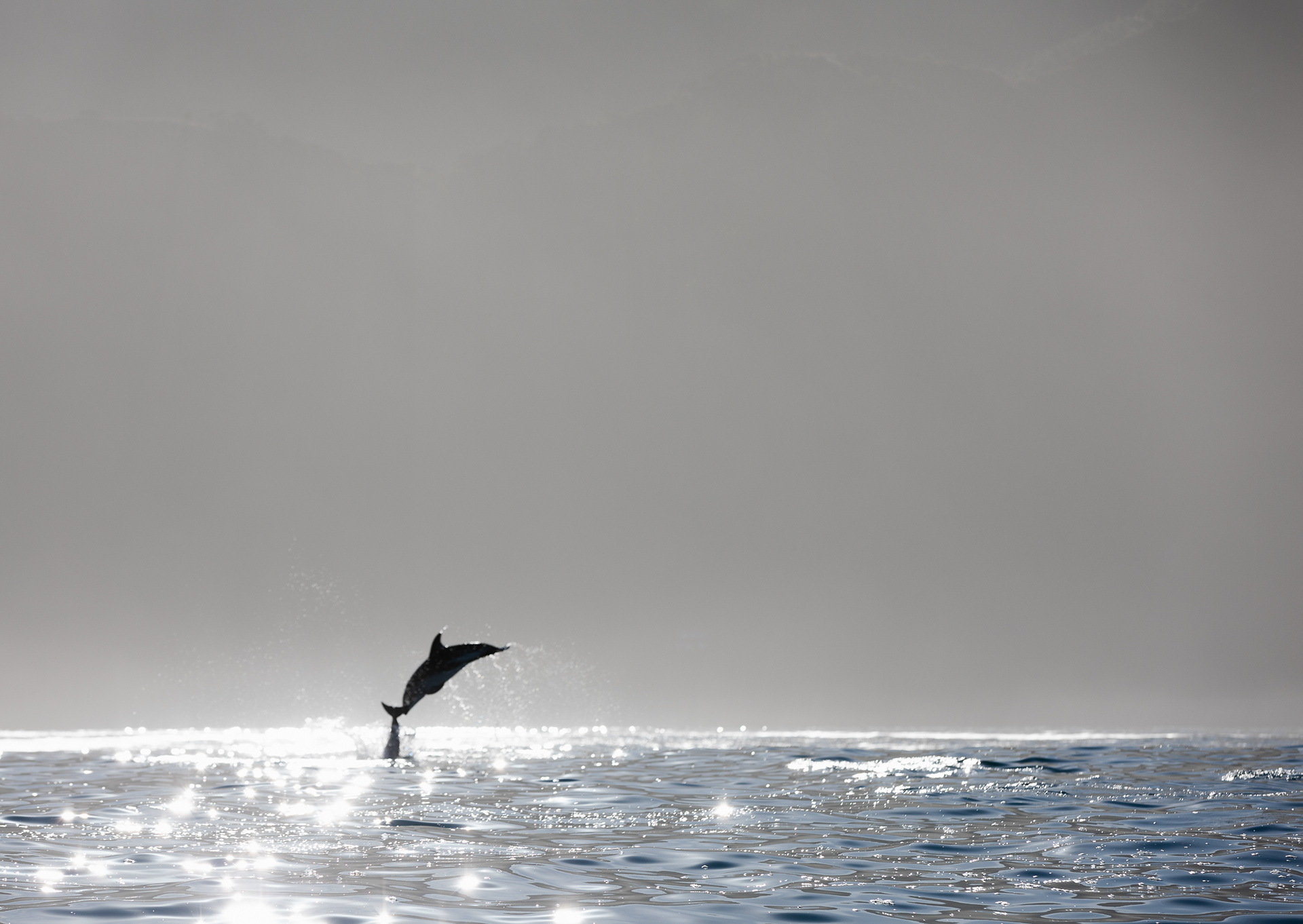 © Darren Creighton Photography | Kaikoura