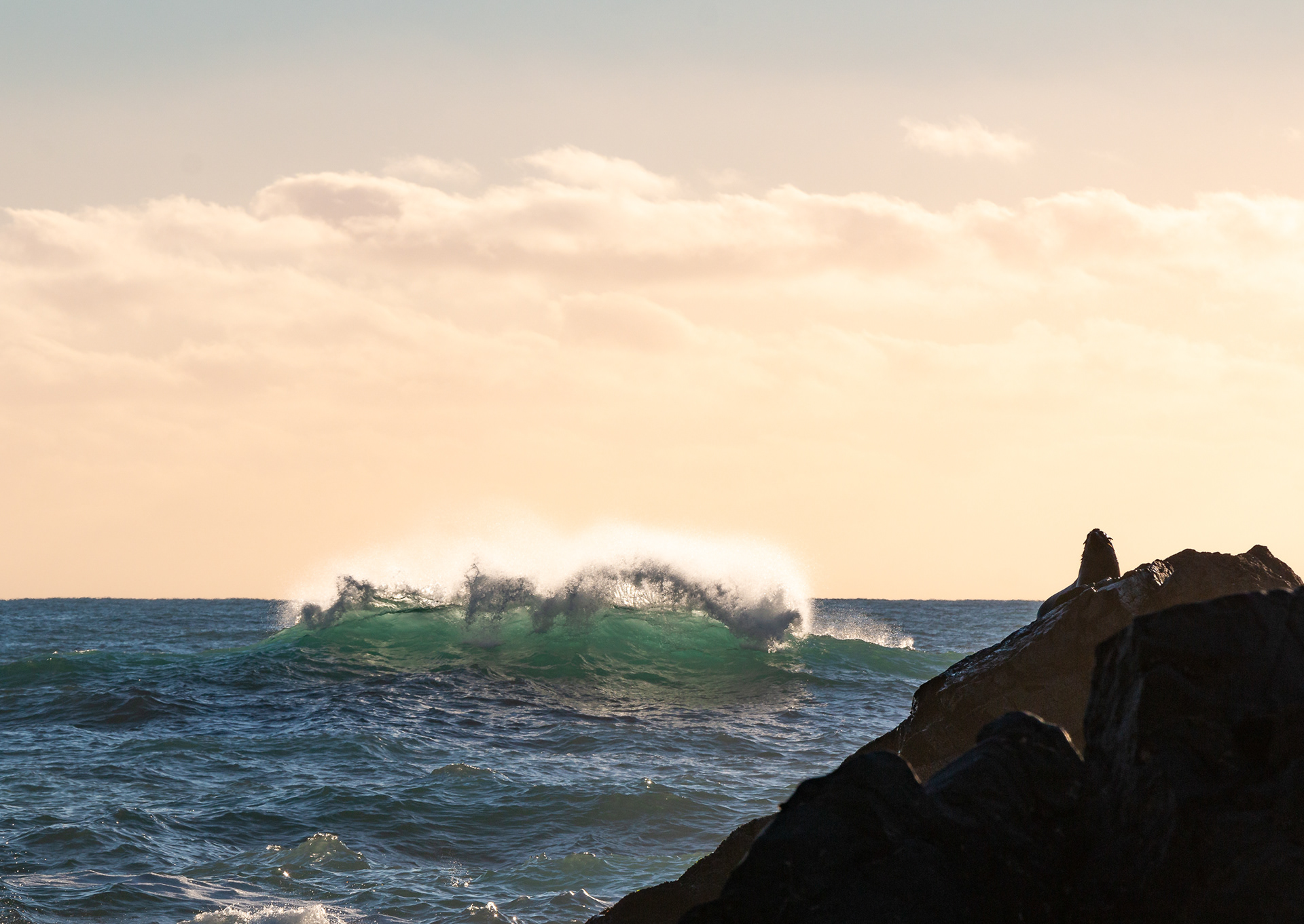 © Darren Creighton Photography | West Coast NZ