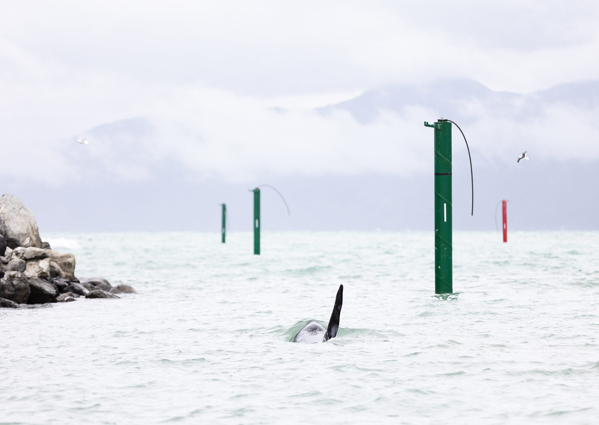 © Darren Creighton Photography | Kaikoura