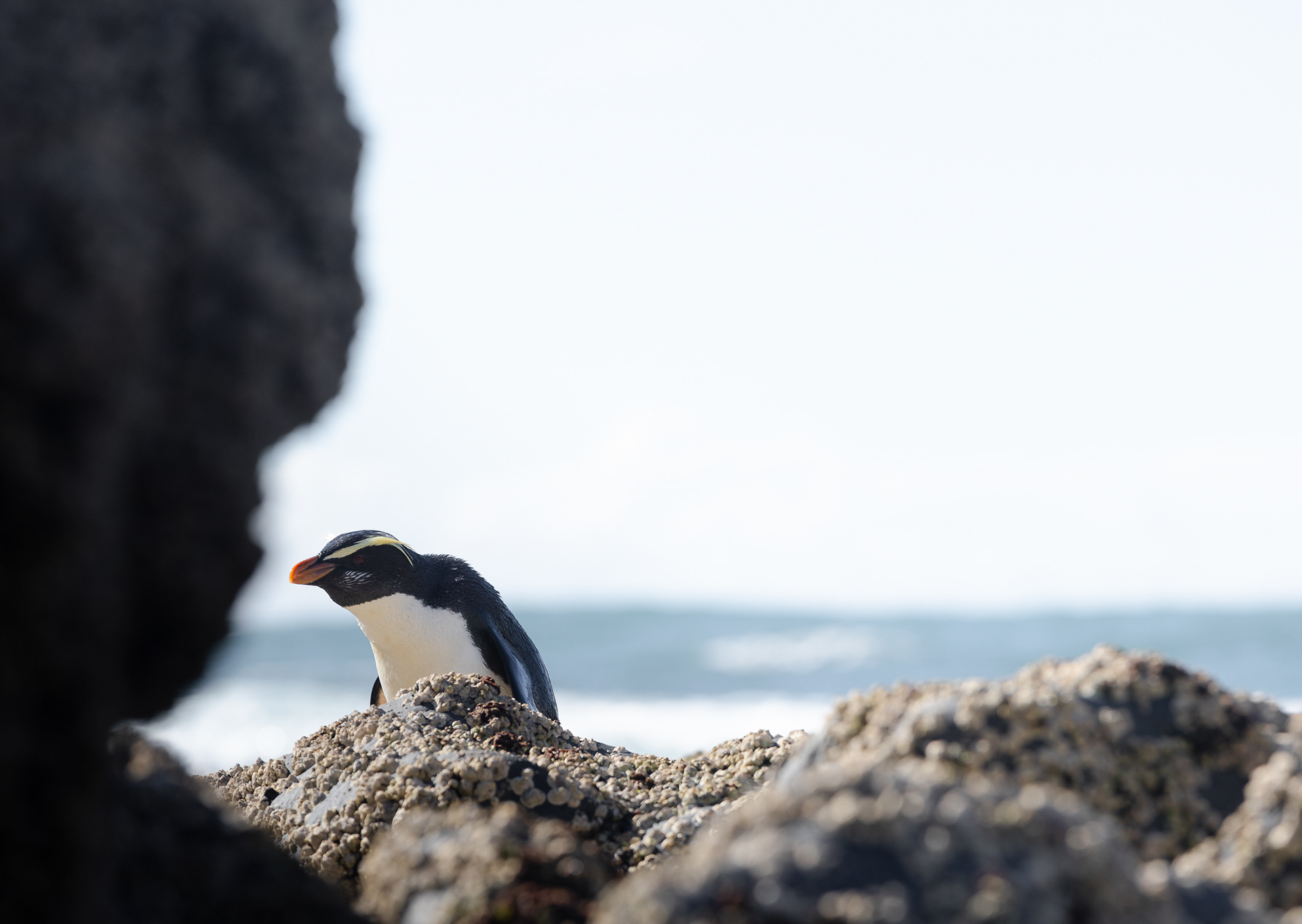 © Darren Creighton Photography | West Coast NZ