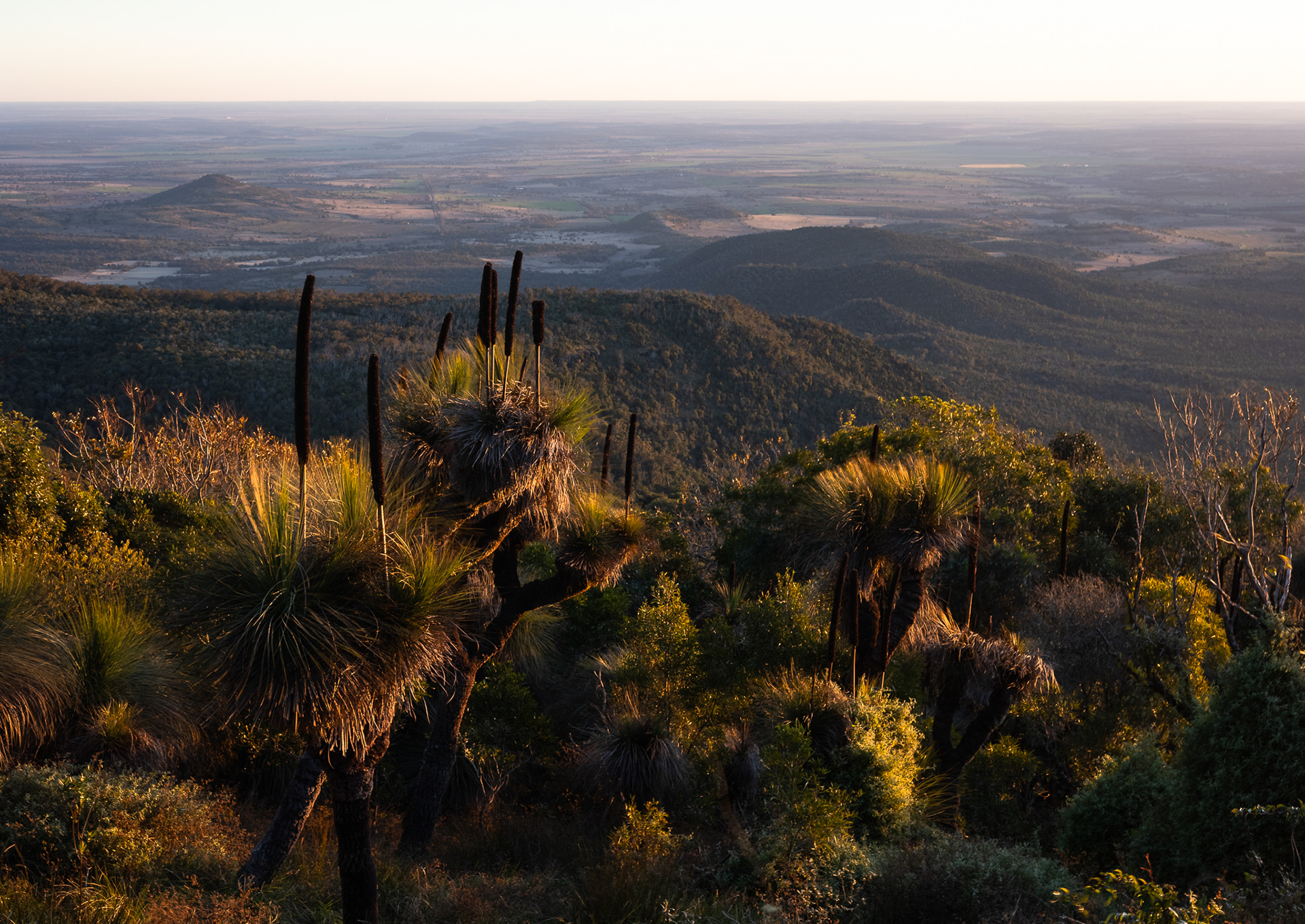 © Darren Creighton Photography  |  Bunya Mountains
