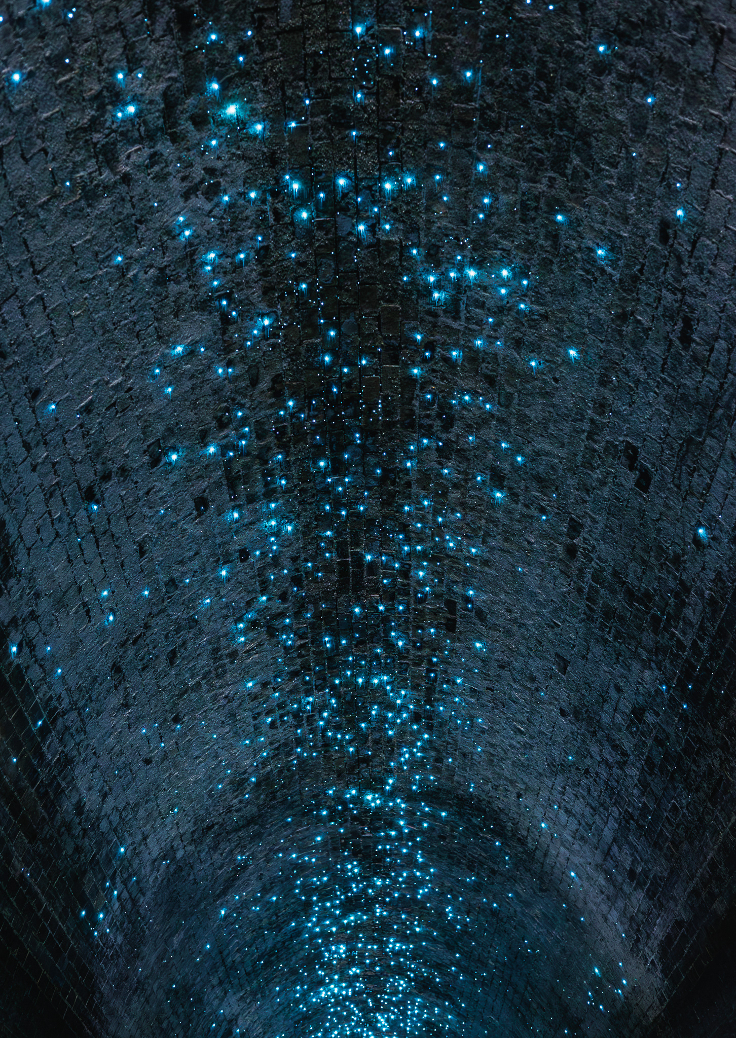 © Darren Creighton Photography | Helensburgh Glow Worm Tunnel