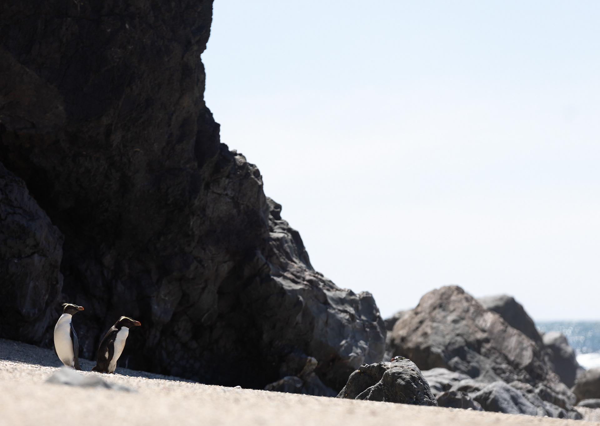 © Darren Creighton Photography  |  West Coast NZ