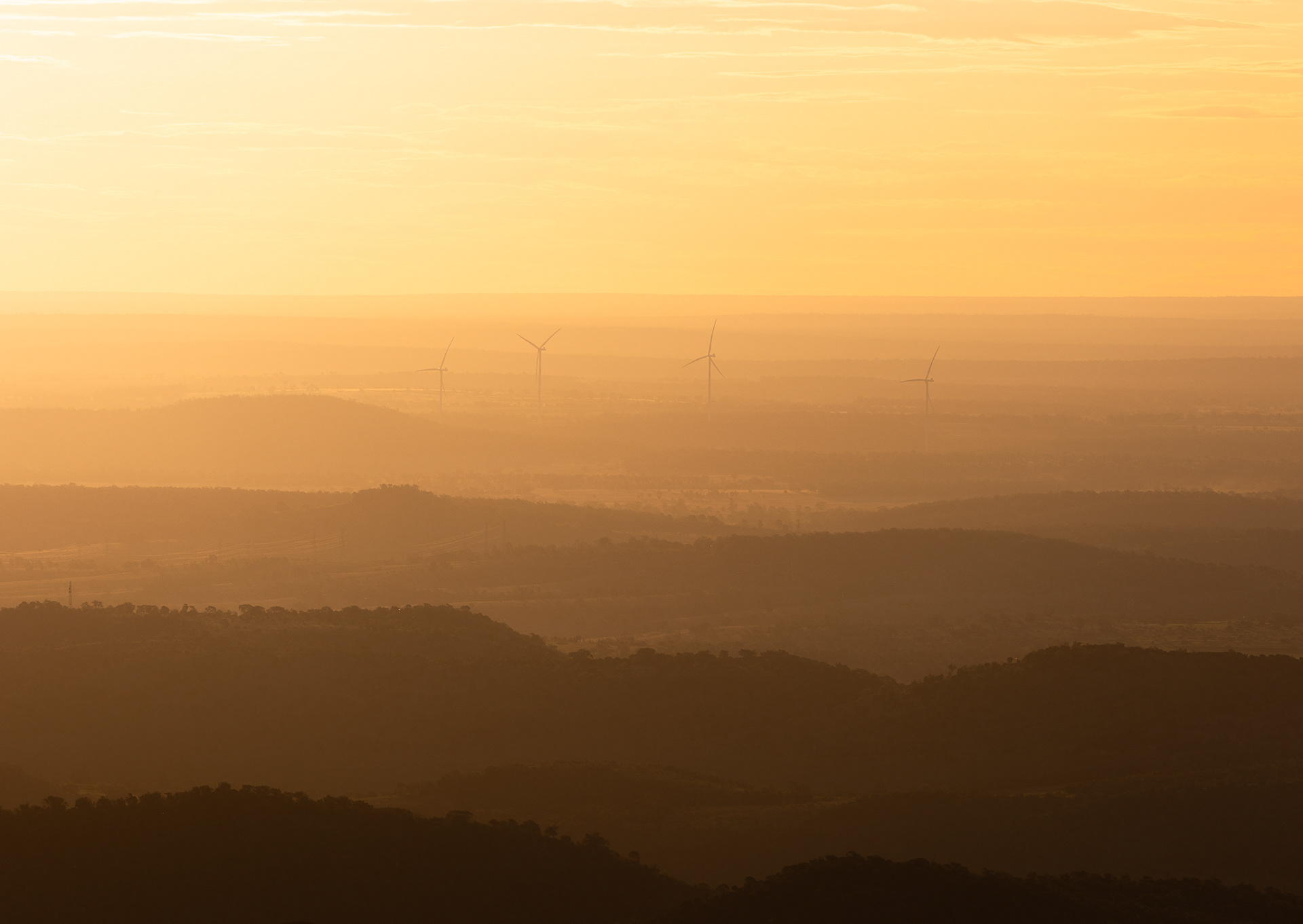© Darren Creighton Photography  |  Bunya Mountains
