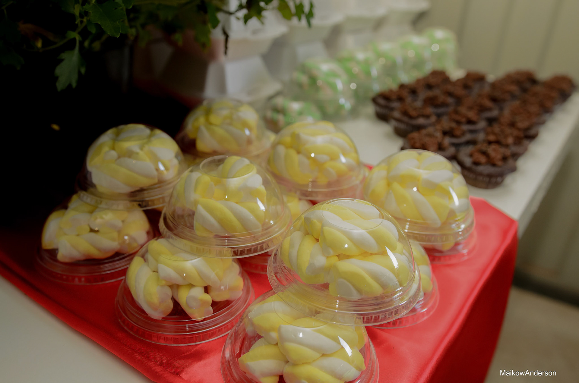 Maikow Anderson Fotógrafo de Casamento em Sete Lagoas