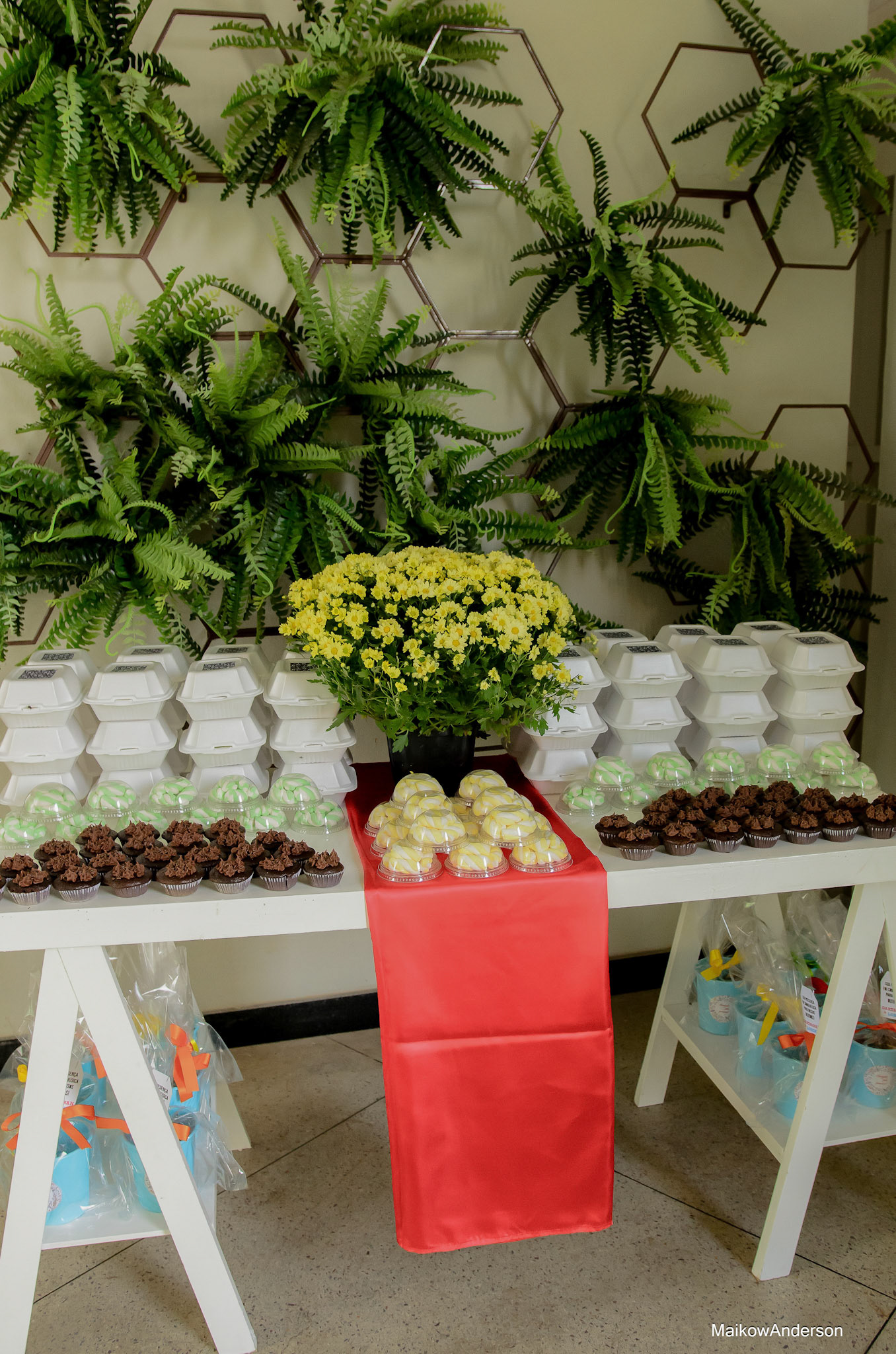 Maikow Anderson Fotógrafo de Casamento em Sete Lagoas