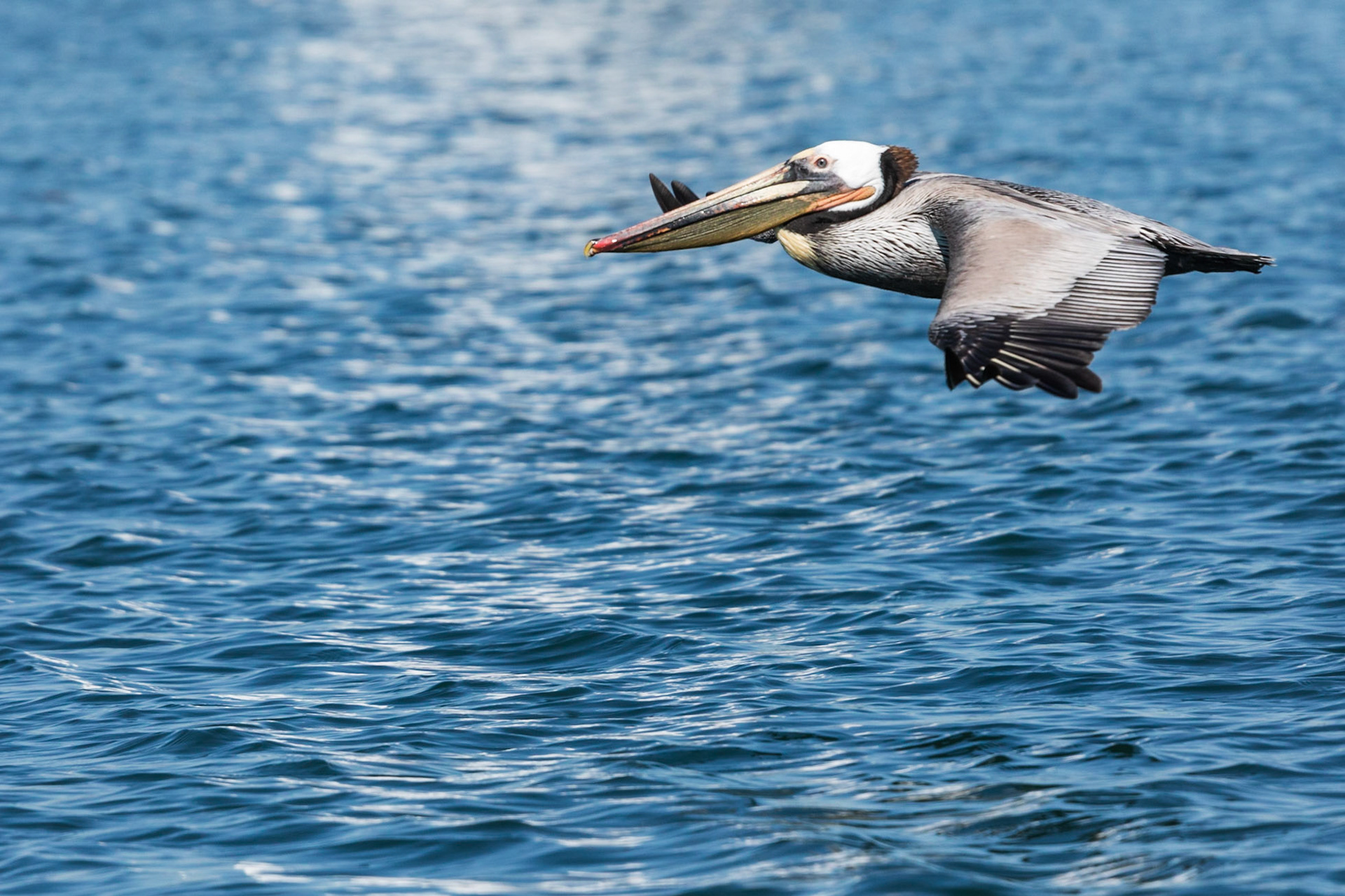 Close to the Surface