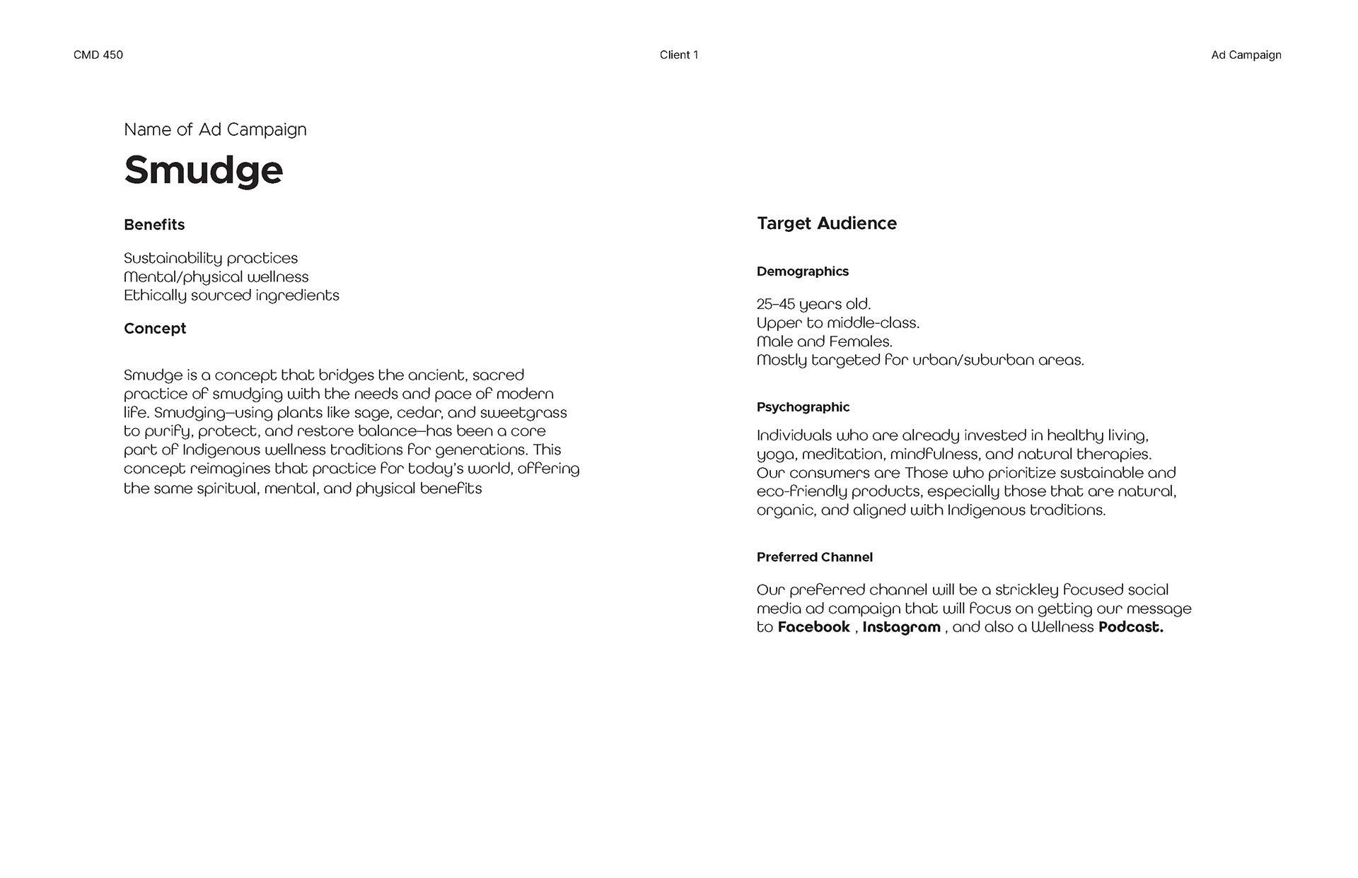 Campaign Brief