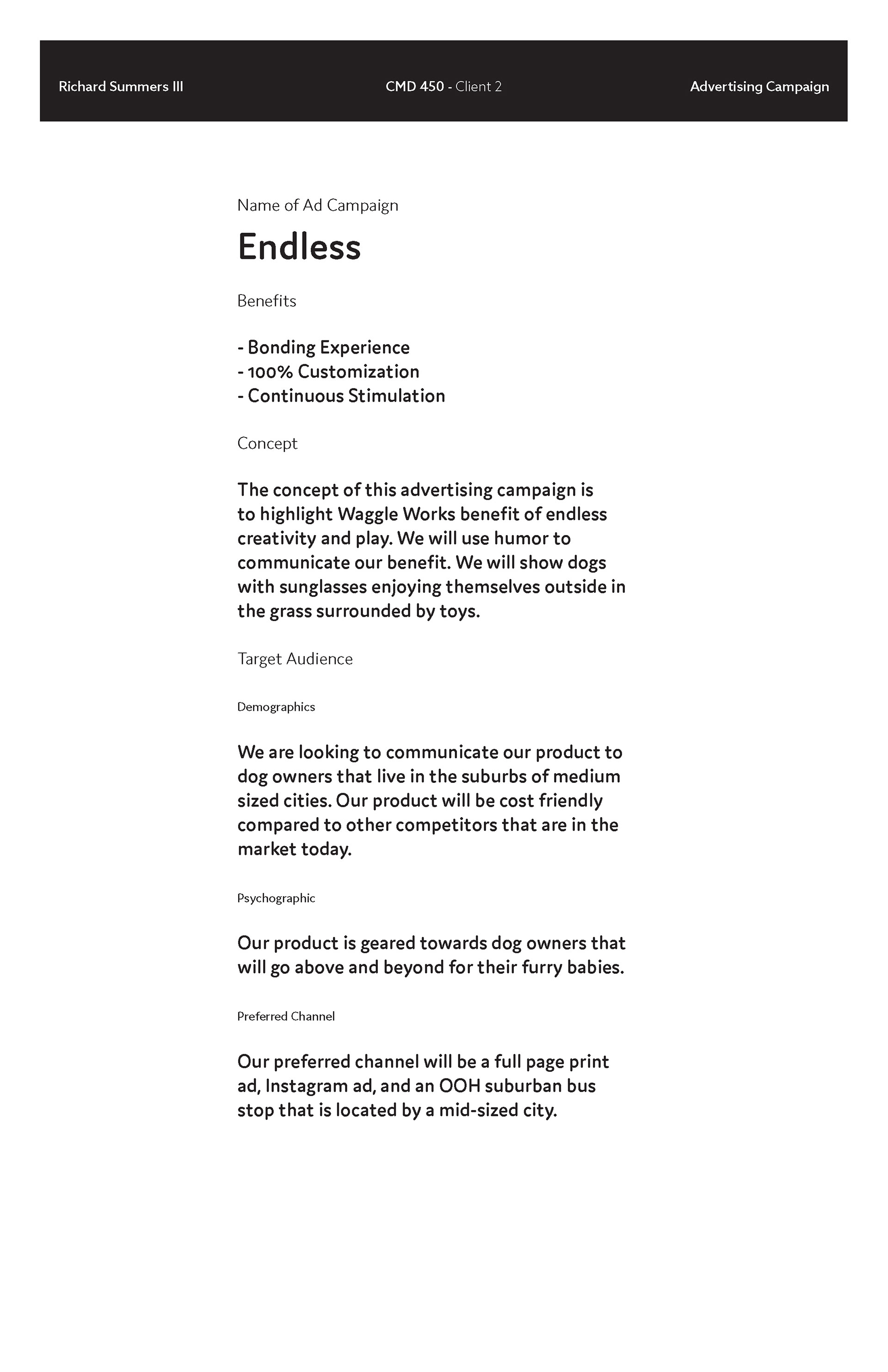 Campaign Brief