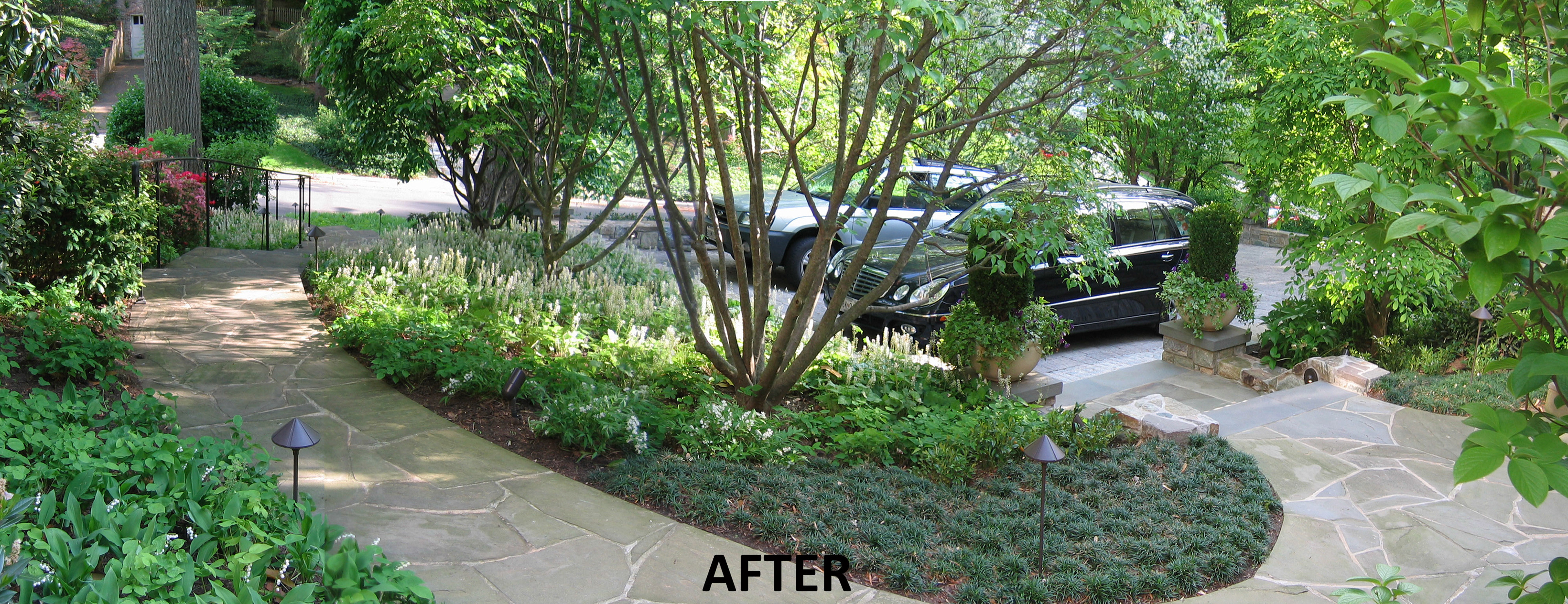 The preservation of a large, mature Silver Maple tree in the front yard required coordinating with an arborist.  We worked together to locate and avoid large roots through the use of an air spade, spread footings and grade beams for new retaining walls.  These measures resulted in a finished project that did not harm the maple.