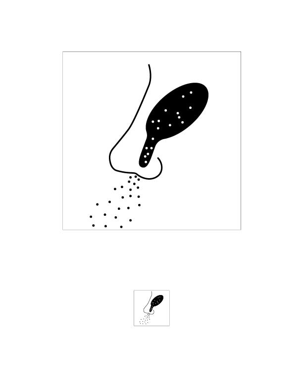 Smelling 1