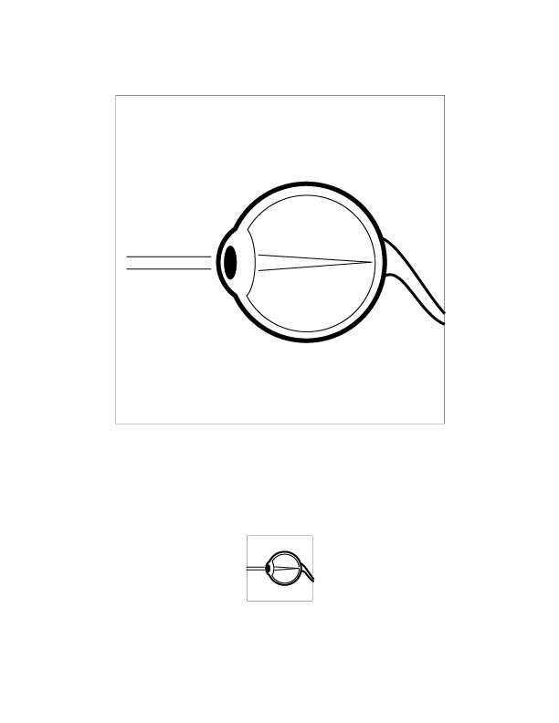 Seeing 2
