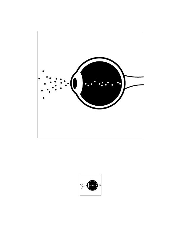 Seeing 1