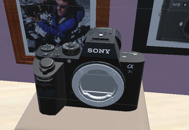 Sony Mirrorless Camera