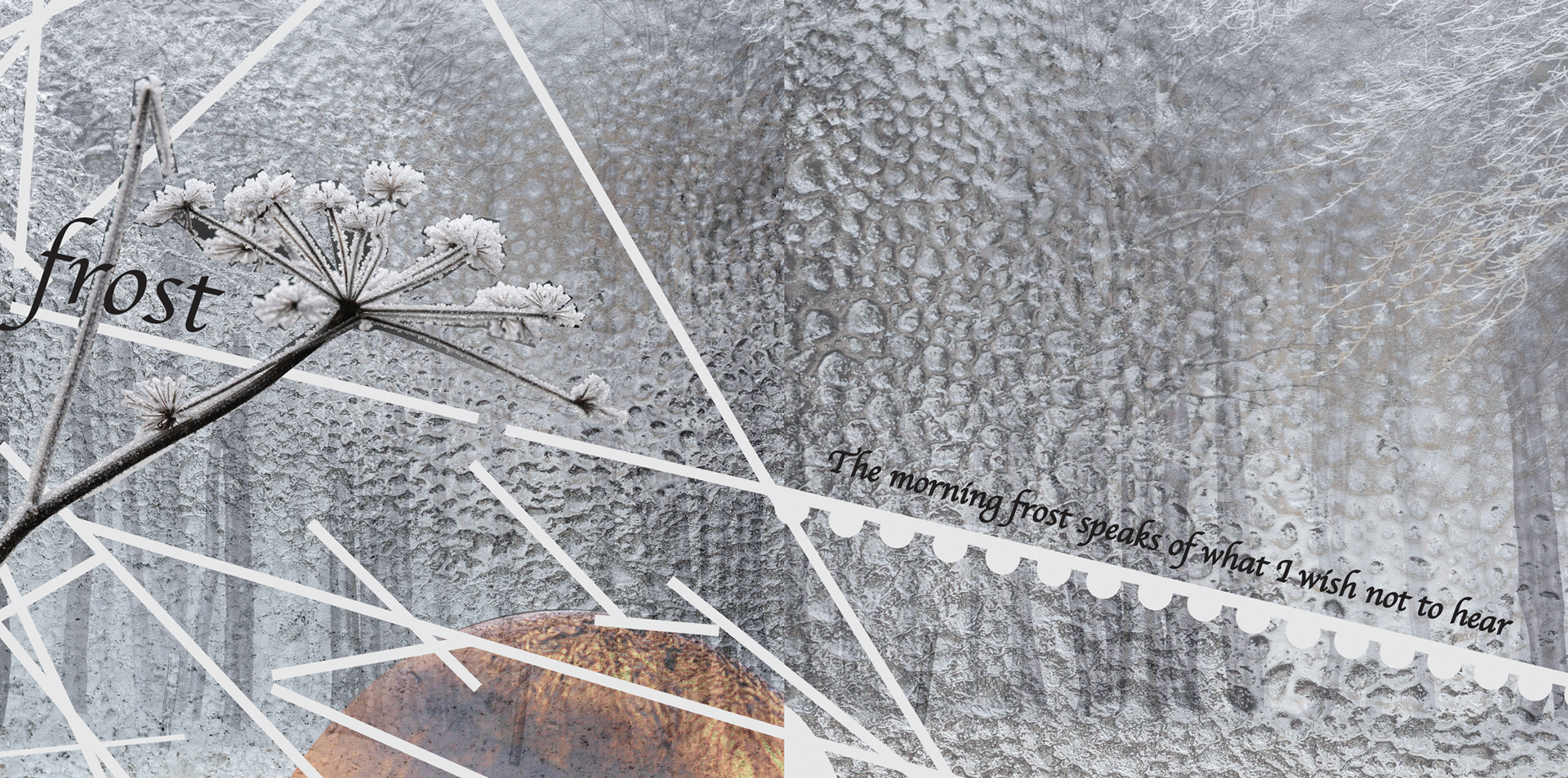 Frost