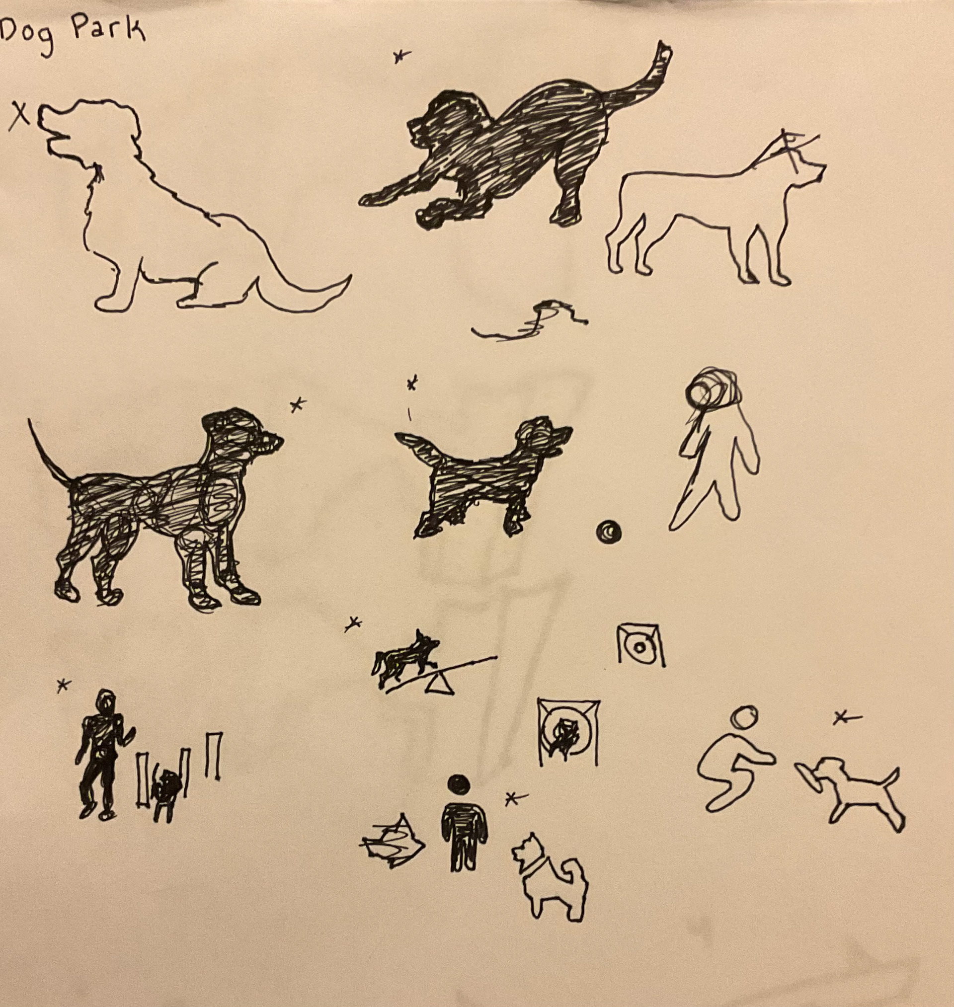 Dog park sketches