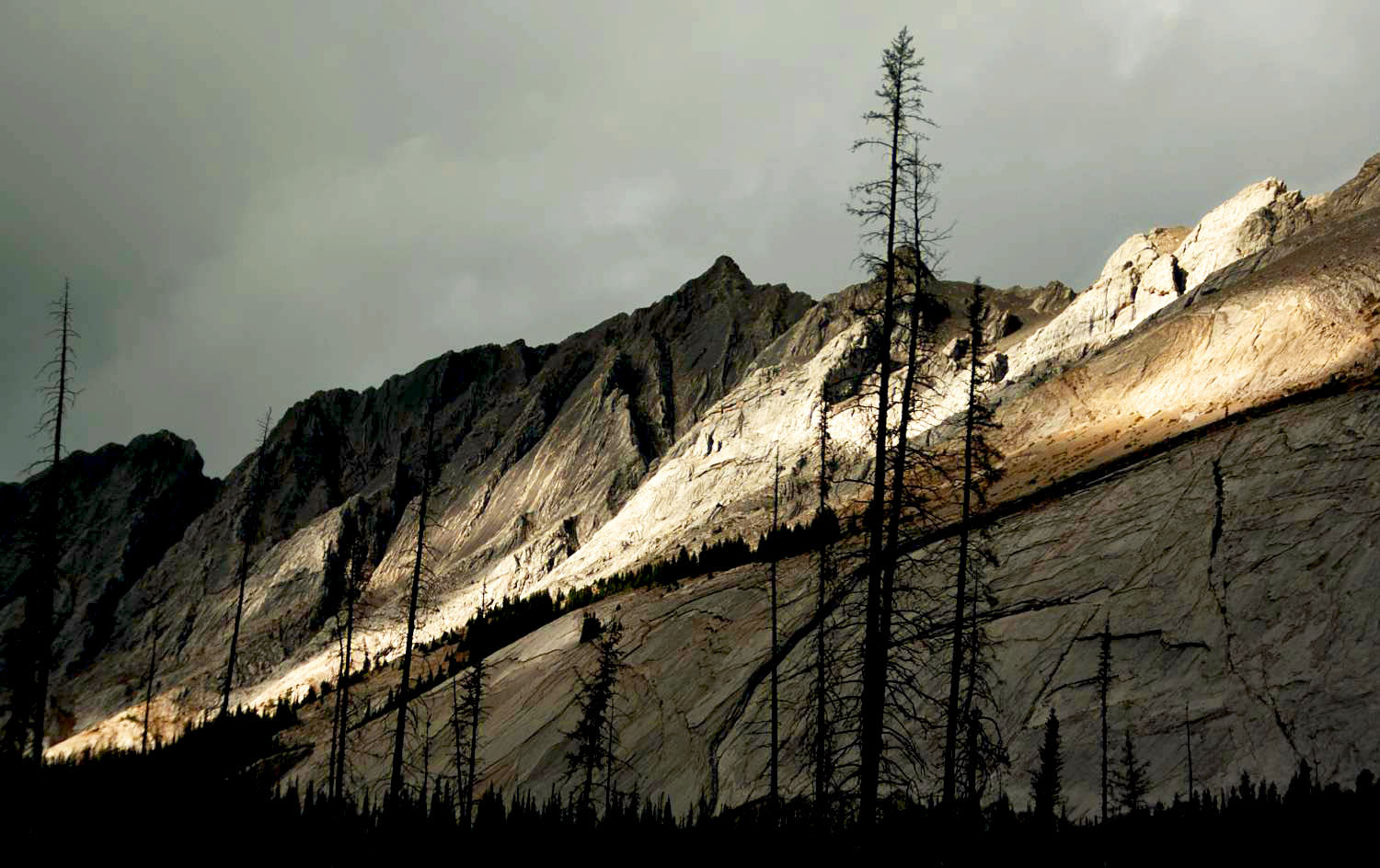 Canada, AB, 2018