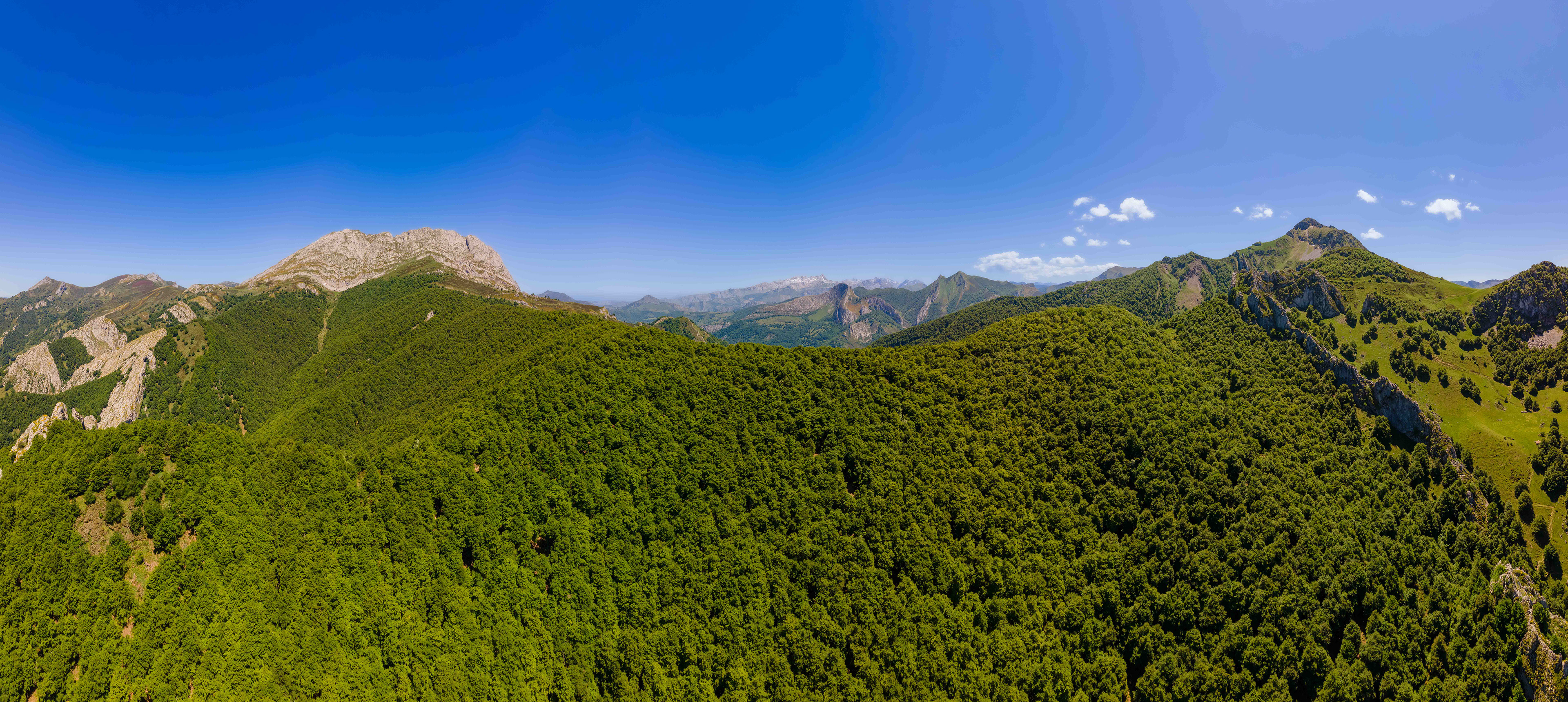 Cordal de Ponga