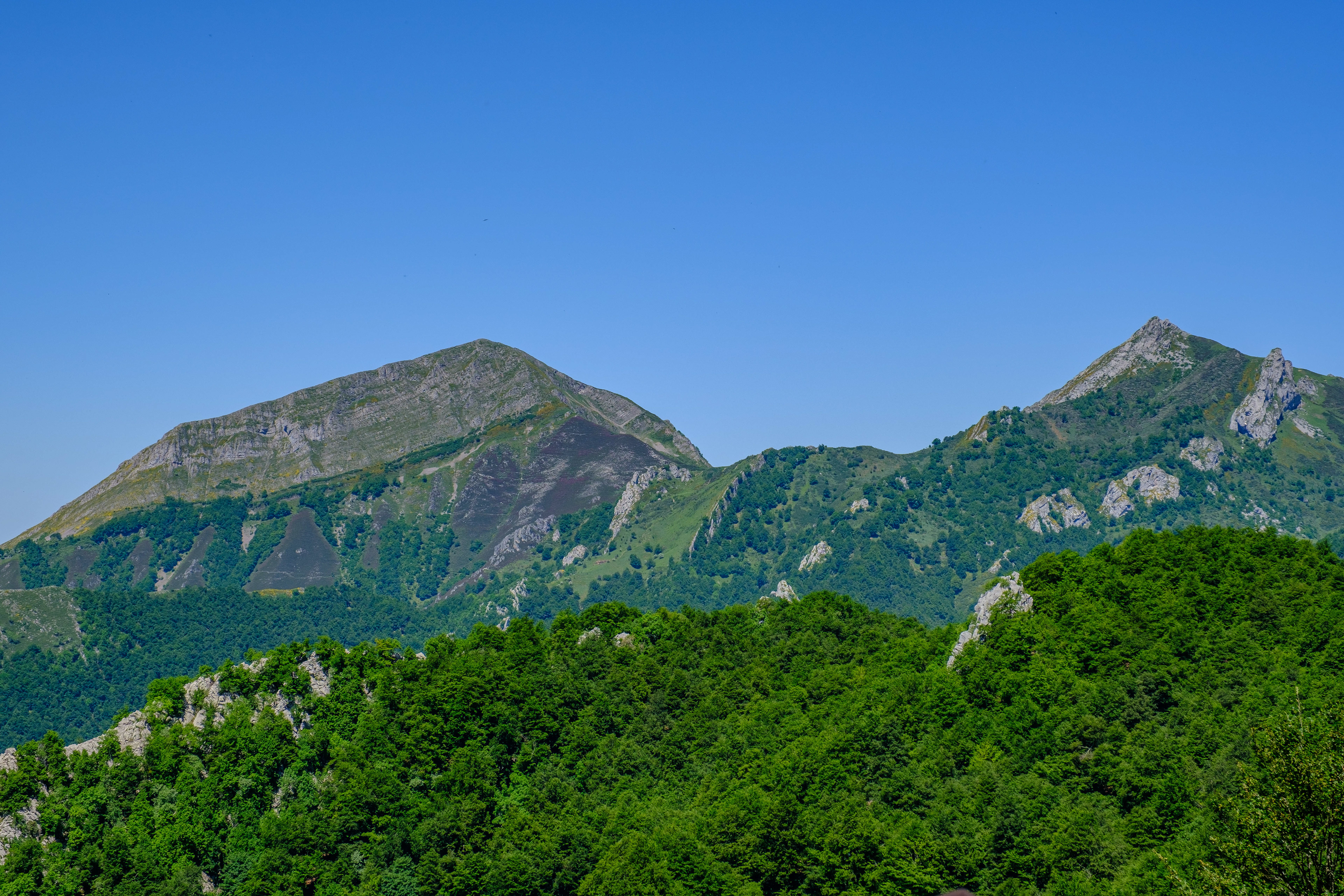 Picos Send y Carasca o Cornelles