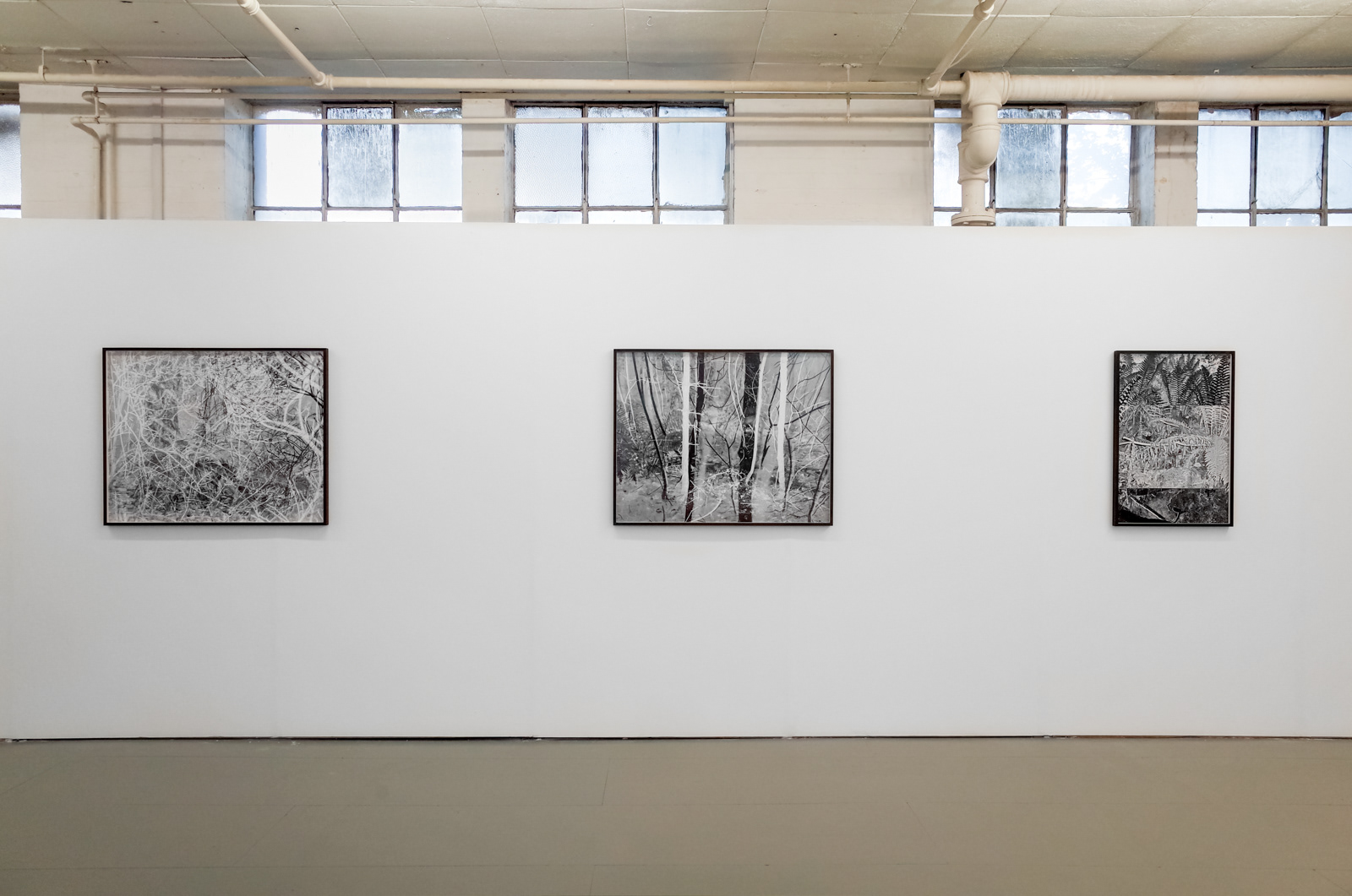 Photography installation of 3 framed abstract landscapesby martin seeds at seen fifteen gallery
