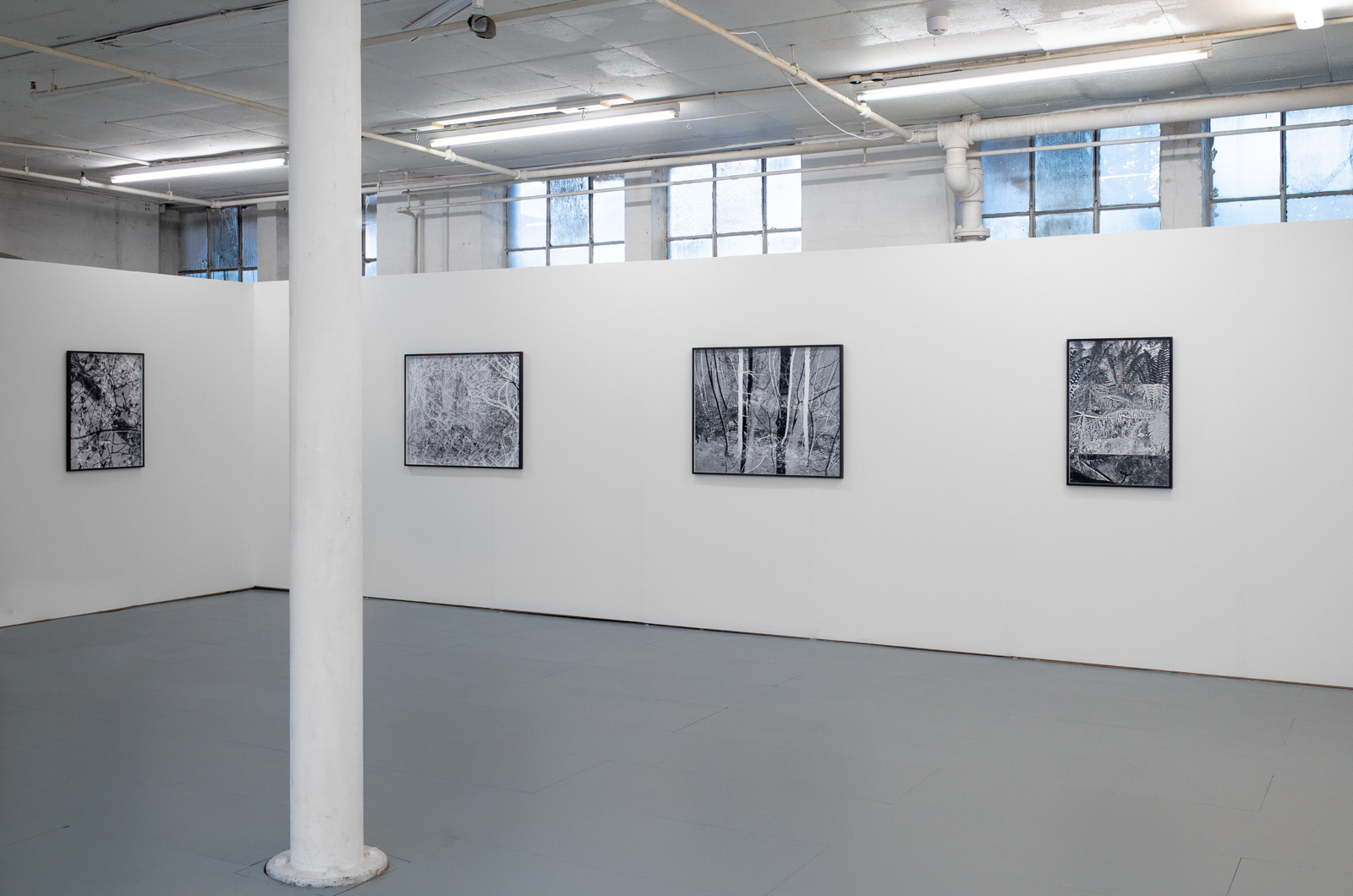 Photography installation of 5 framed abstract landscapesby martin seeds at seen fifteen gallery