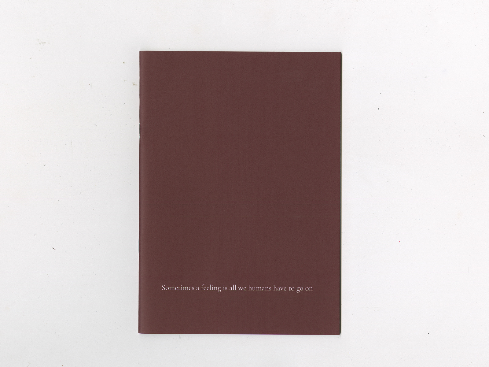Zine publication, 32 pages, 28 black and white photographs, soft cover, staple bind, 2024