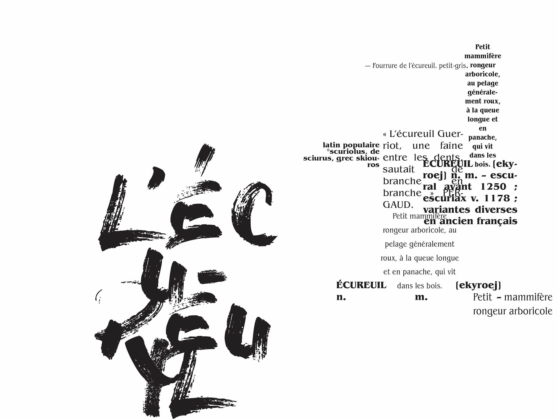Clémence - écureuil 2